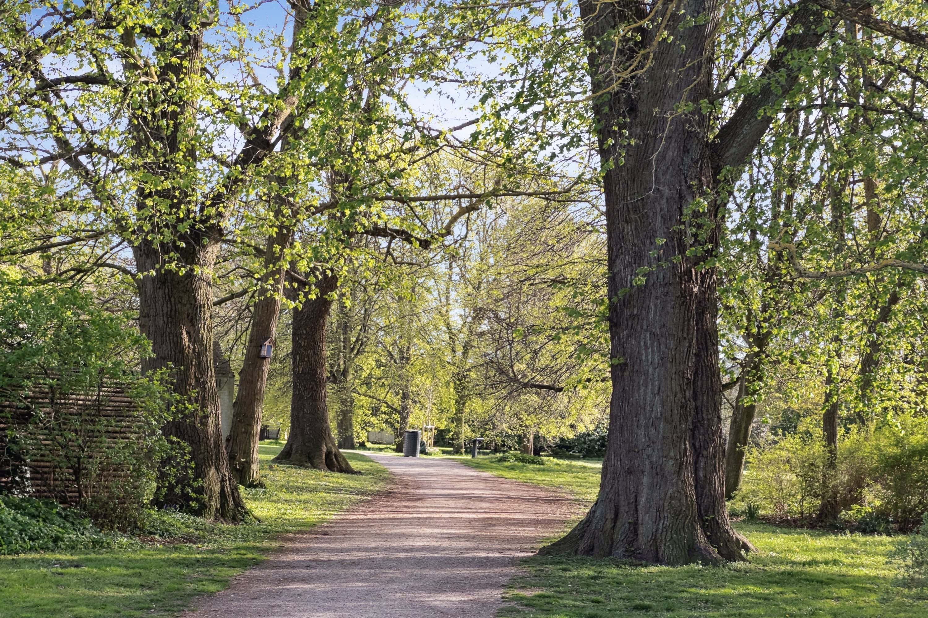 Fremhævet område billede i fuldskærmstilstand. Billede af Dyrlundsvej 10, 1., 4600 Køge
