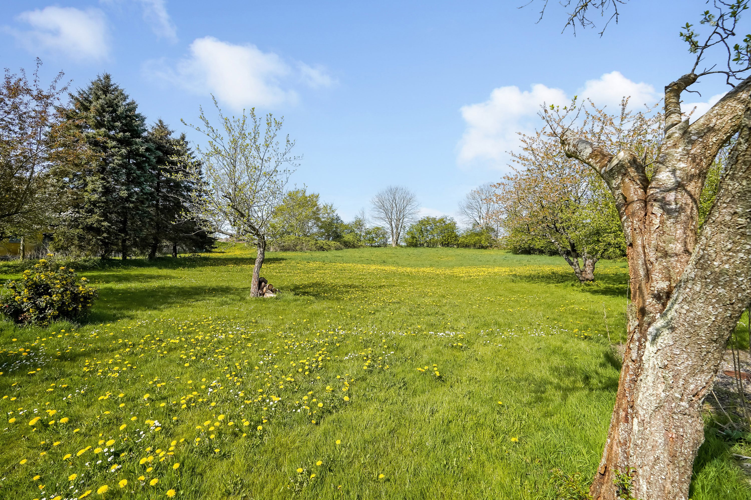Fremhævet have billede i fuldskærmstilstand. Billede af Præstebuen 12, Sdr Åby, 5592 Ejby