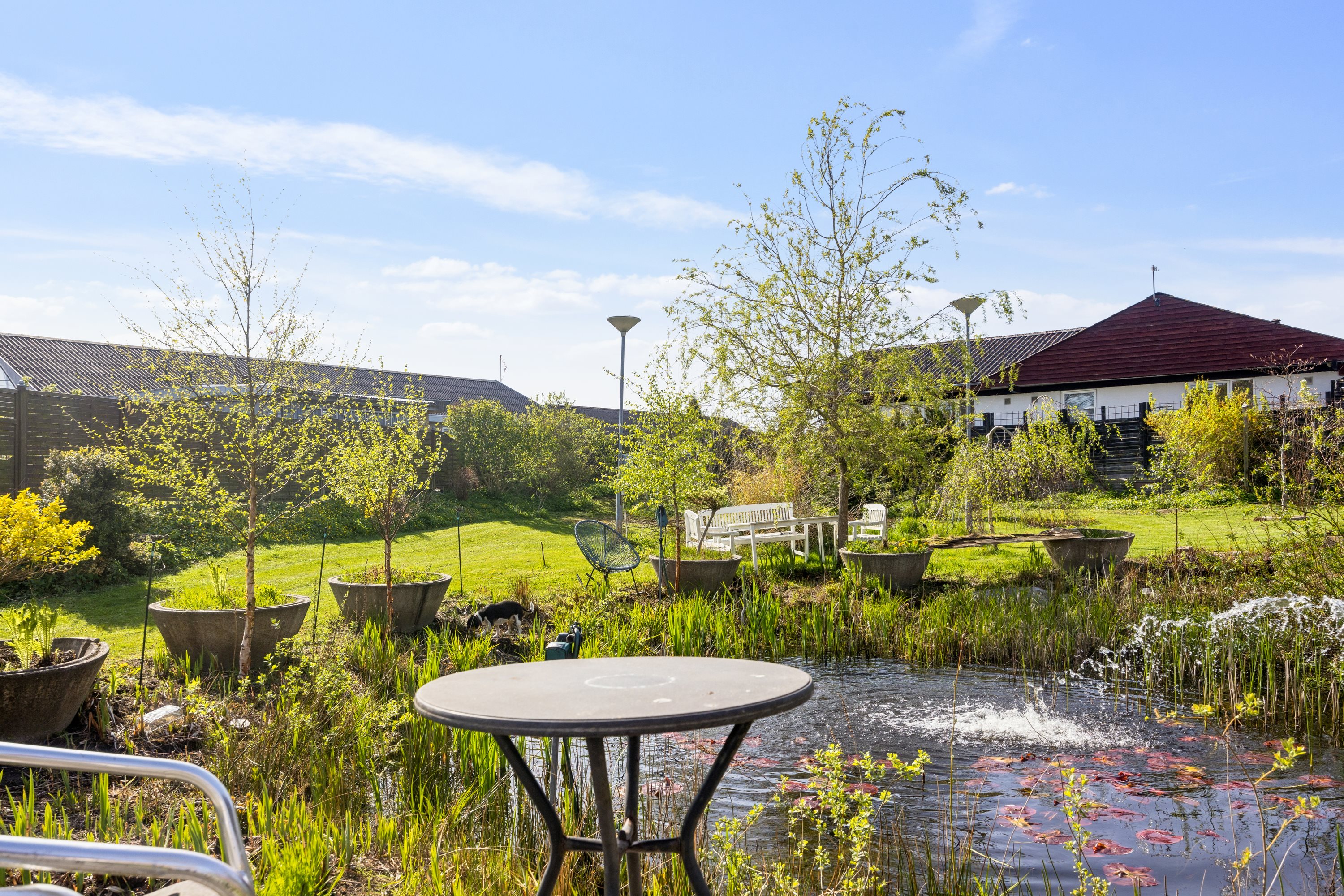 Fremhævet ejendom 1 billede i fuldskærmstilstand. Billede af Vestergade 71, Ulsted, 9370 Hals