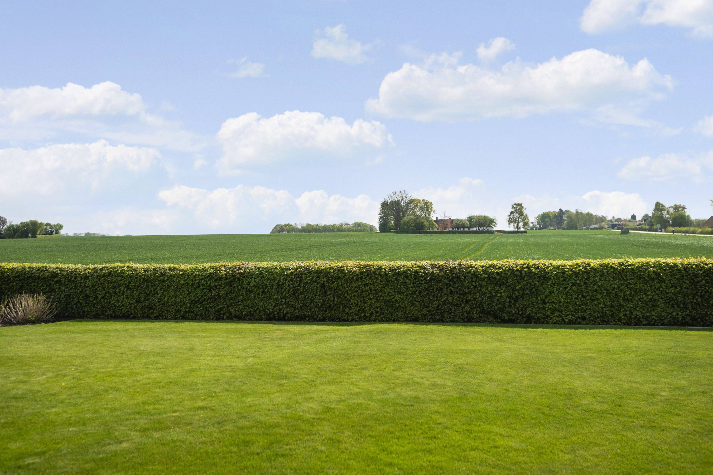 Miniaturebillede 1: område. Billede af Strandvejen 128, Rørth, 8300 Odder