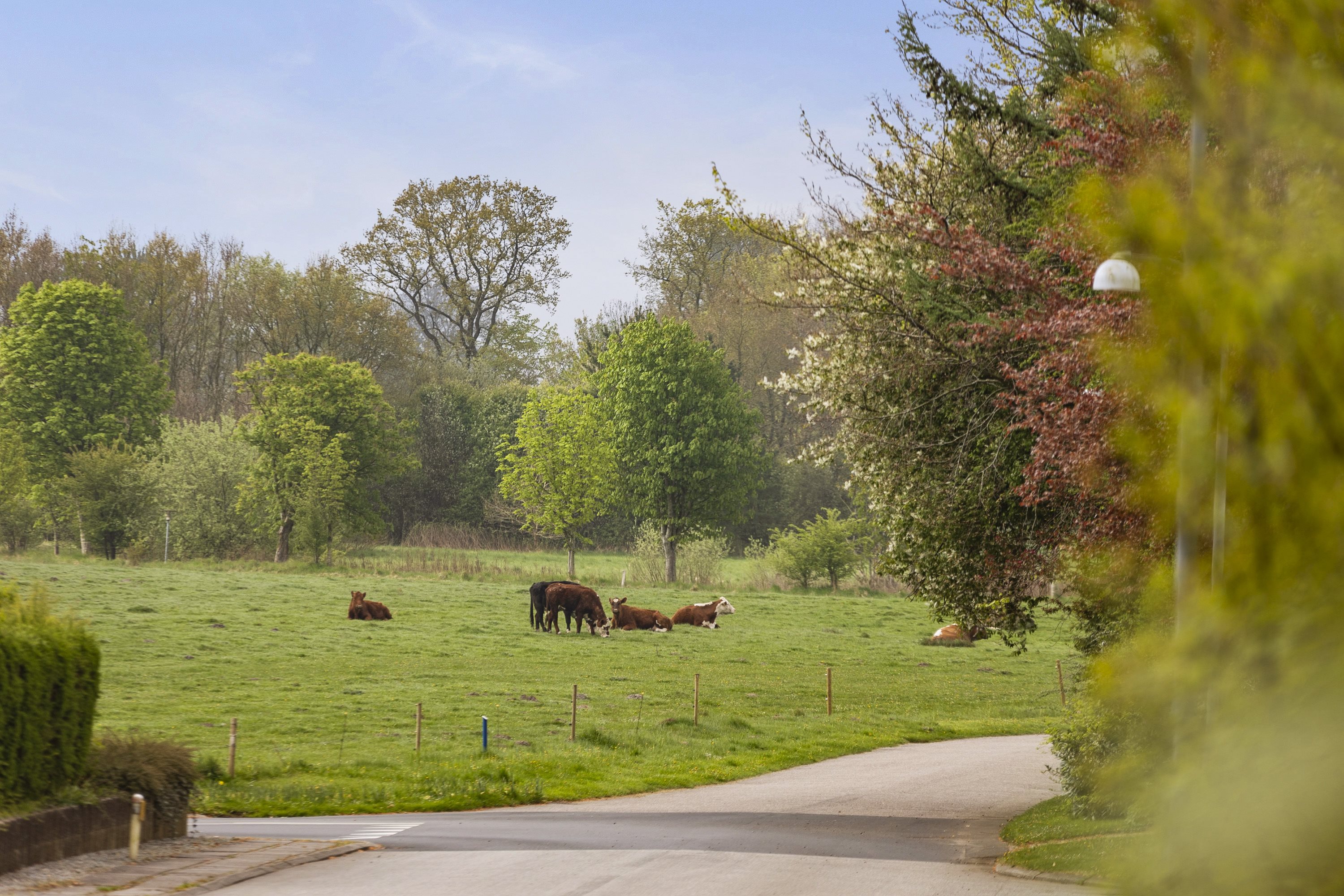 Miniaturebillede 1: ejendommen. Billede af Ahlefeldtvej 17, Søgaard, 6200 Aabenraa