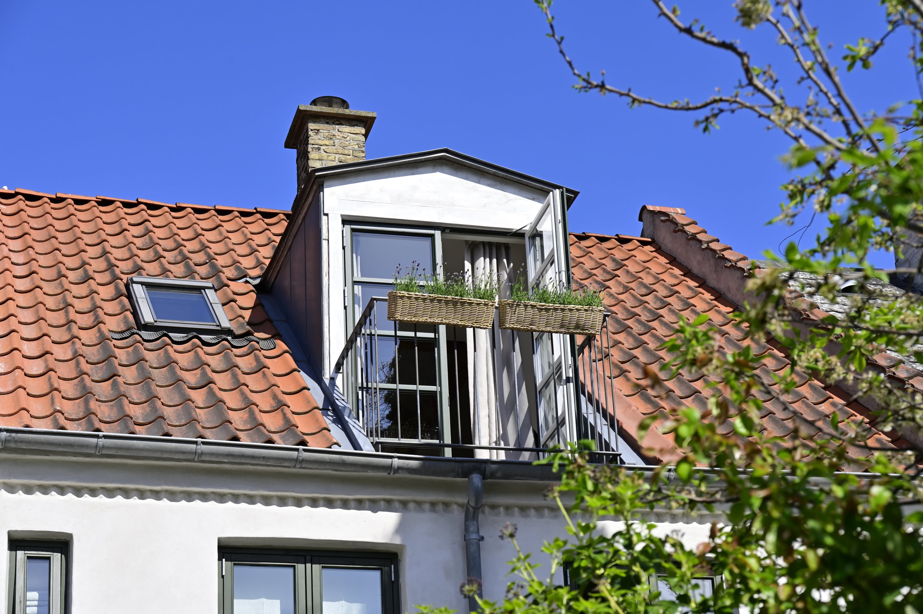 Fremhævet  billede i fuldskærmstilstand. Billede af Sverrigsgade 41, 2300 København S