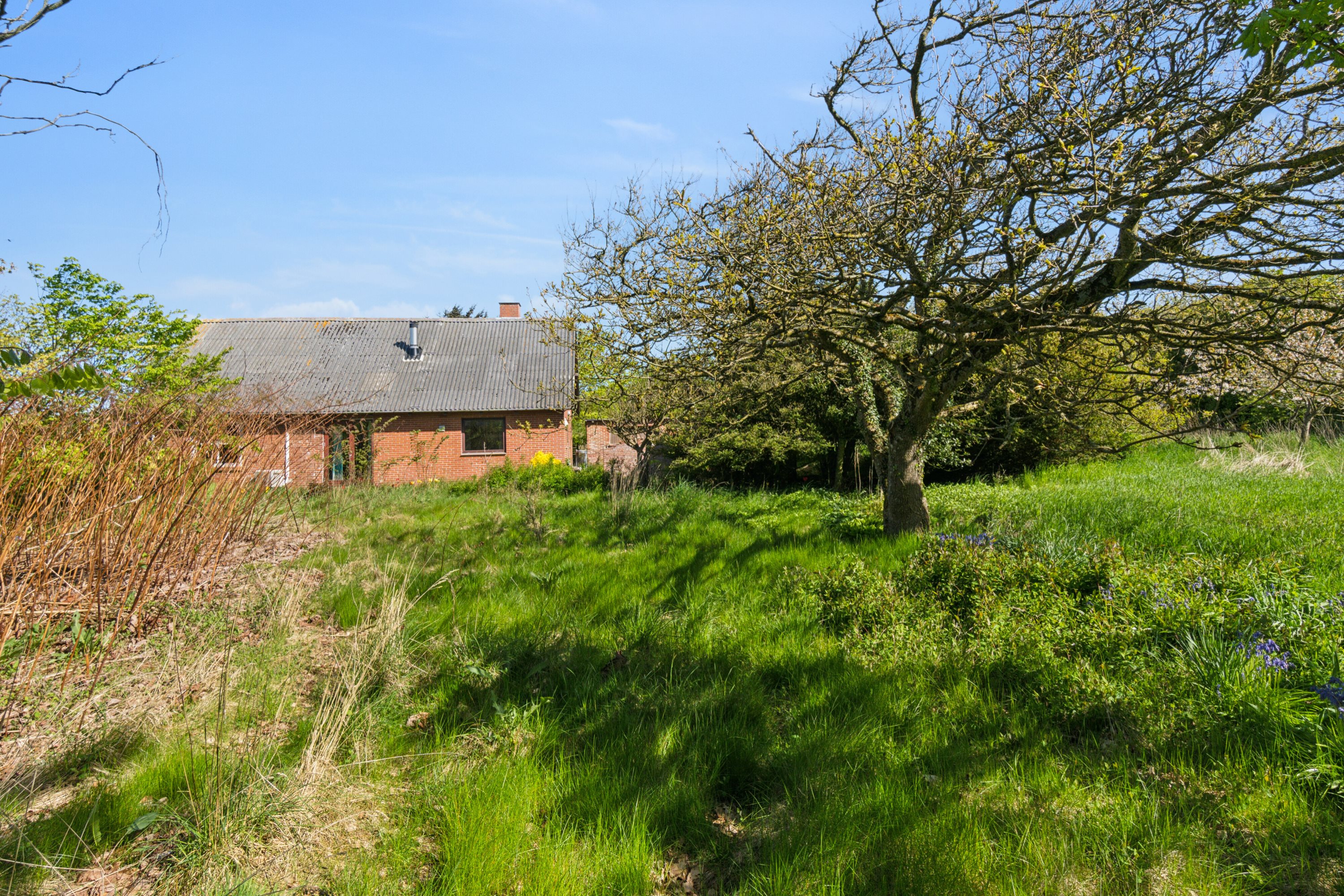 Miniaturebillede 1: set fra haven. Billede af Kalkjærvej 7, Vesterby, 7770 Vestervig