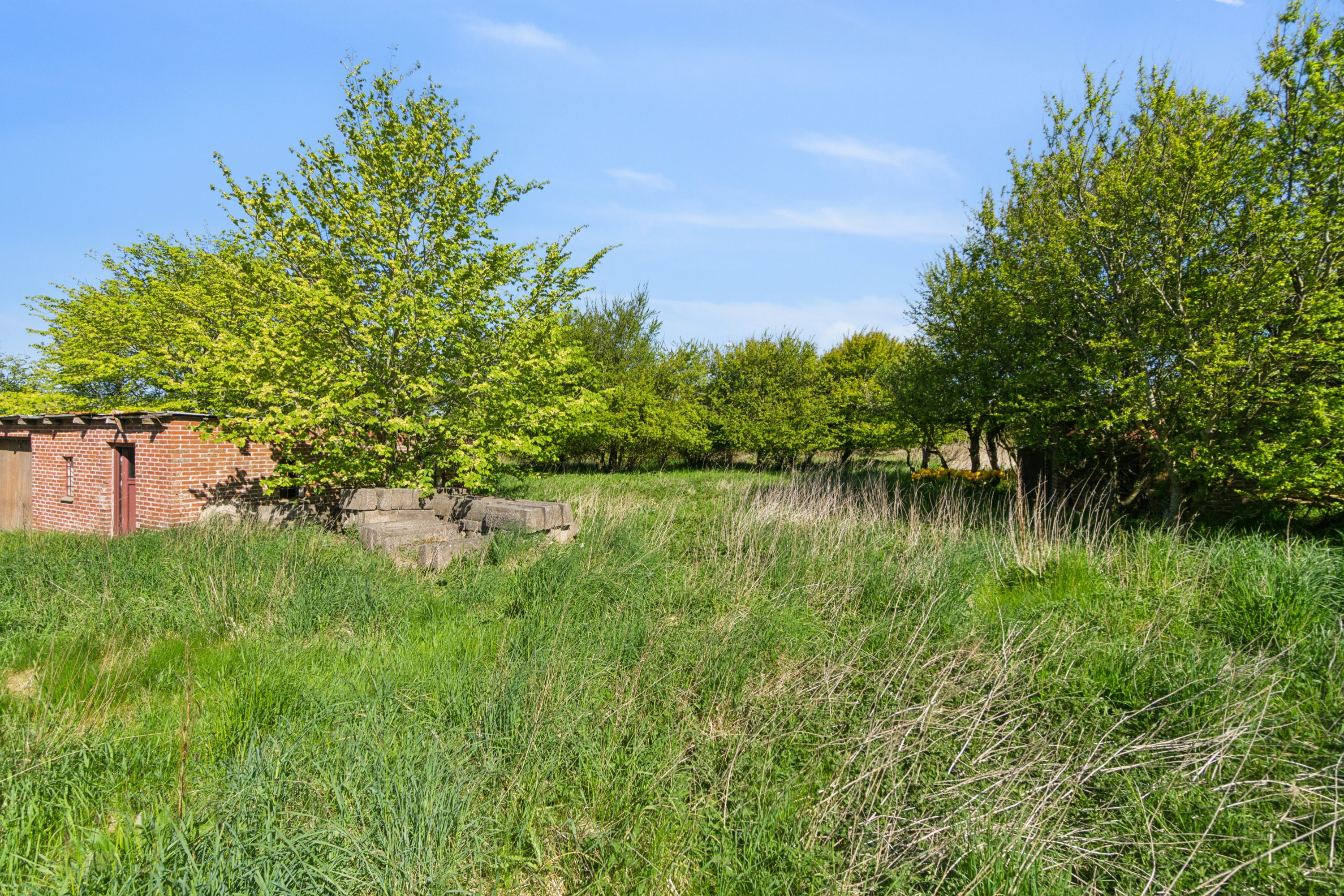 Fremhævet udendørs billede i fuldskærmstilstand. Billede af Kalkjærvej 7, Vesterby, 7770 Vestervig