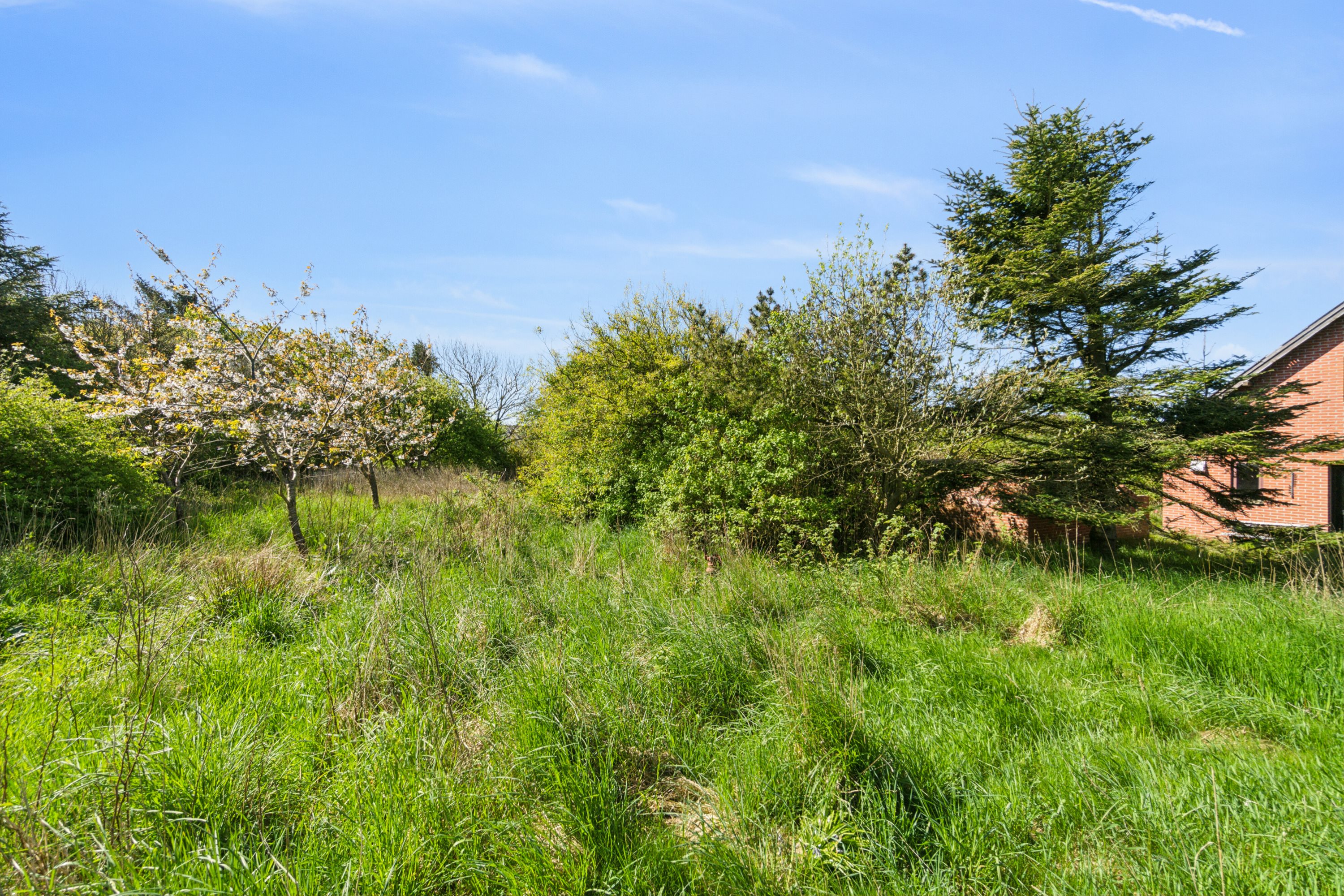 Fremhævet udendørs billede i fuldskærmstilstand. Billede af Kalkjærvej 7, Vesterby, 7770 Vestervig