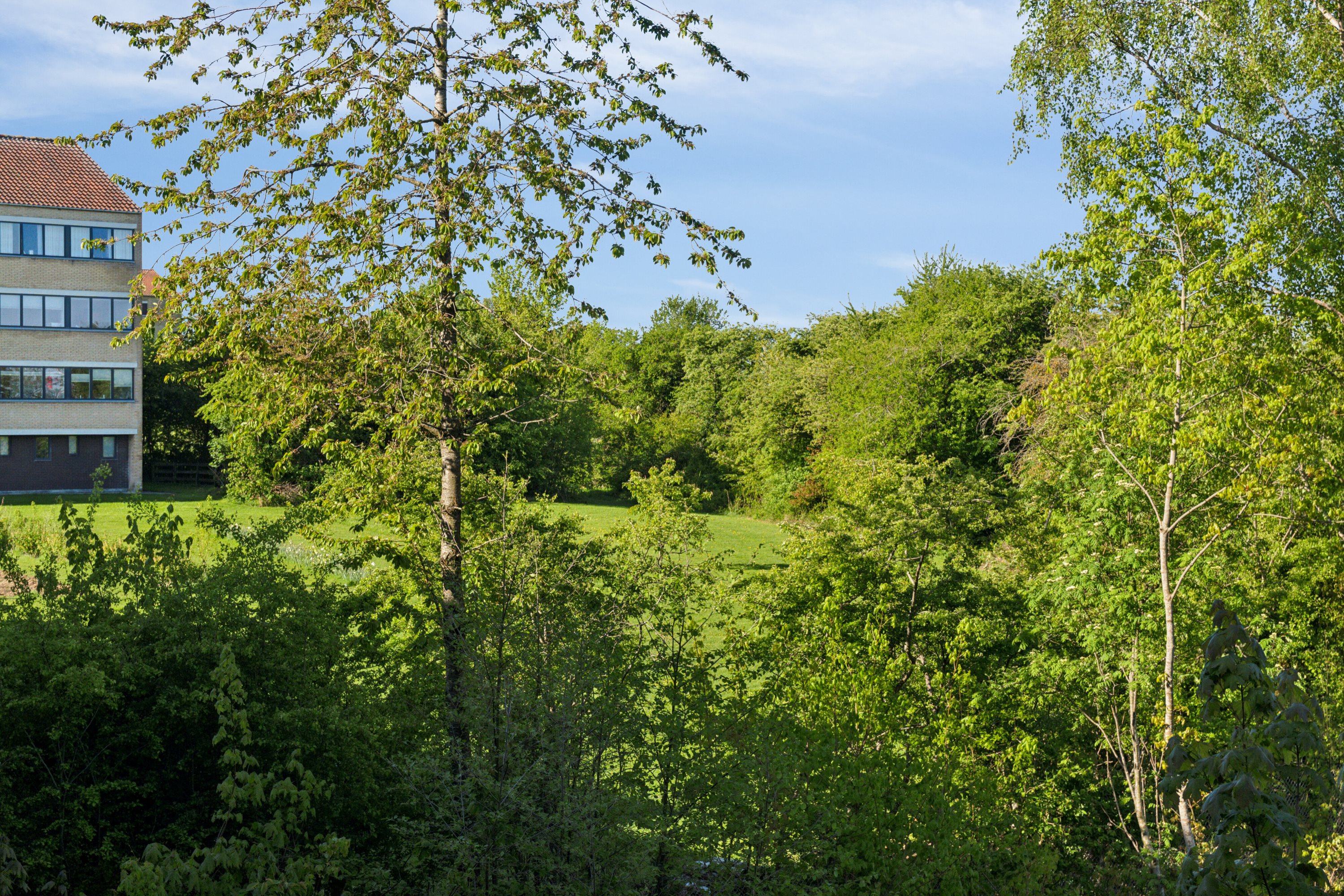 Fremhævet udendørs billede i fuldskærmstilstand. Billede af Rundhøj Allé 82, 1. th., 8270 Højbjerg