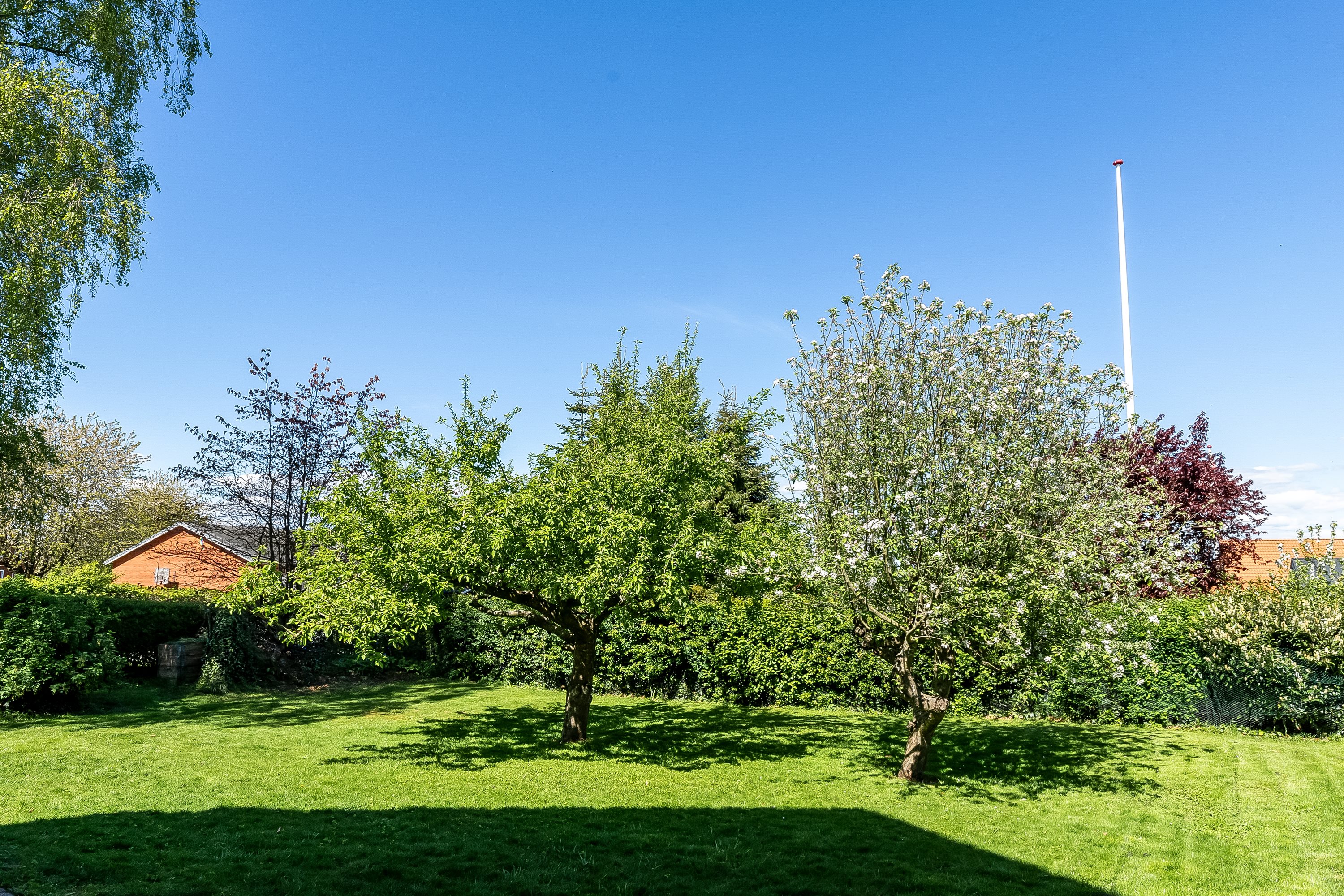 Fremhævet have billede i fuldskærmstilstand. Billede af Agtrupvej 159, 6000 Kolding