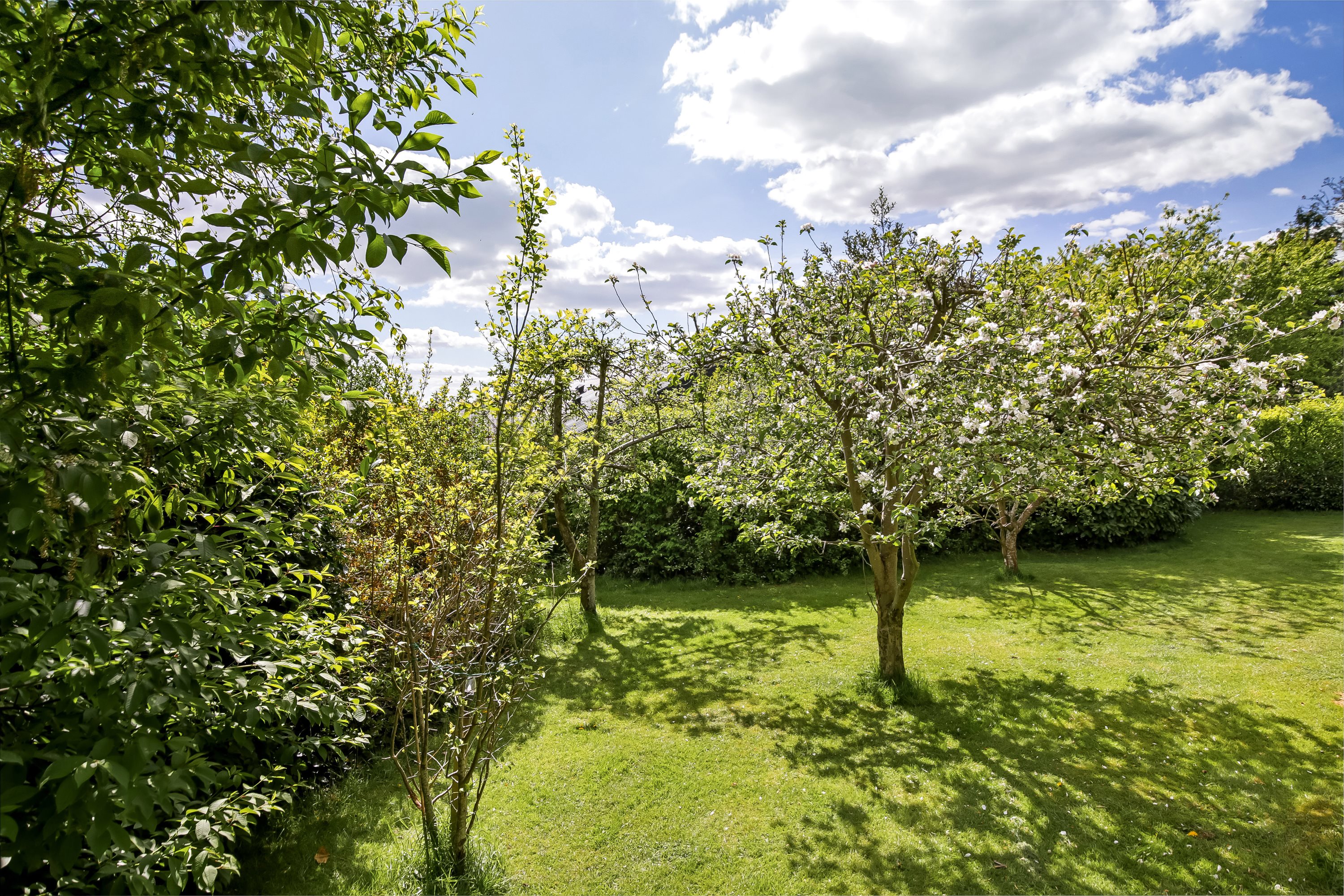 Fremhævet have billede i fuldskærmstilstand. Billede af Ahornvej 7, 8550 Ryomgård