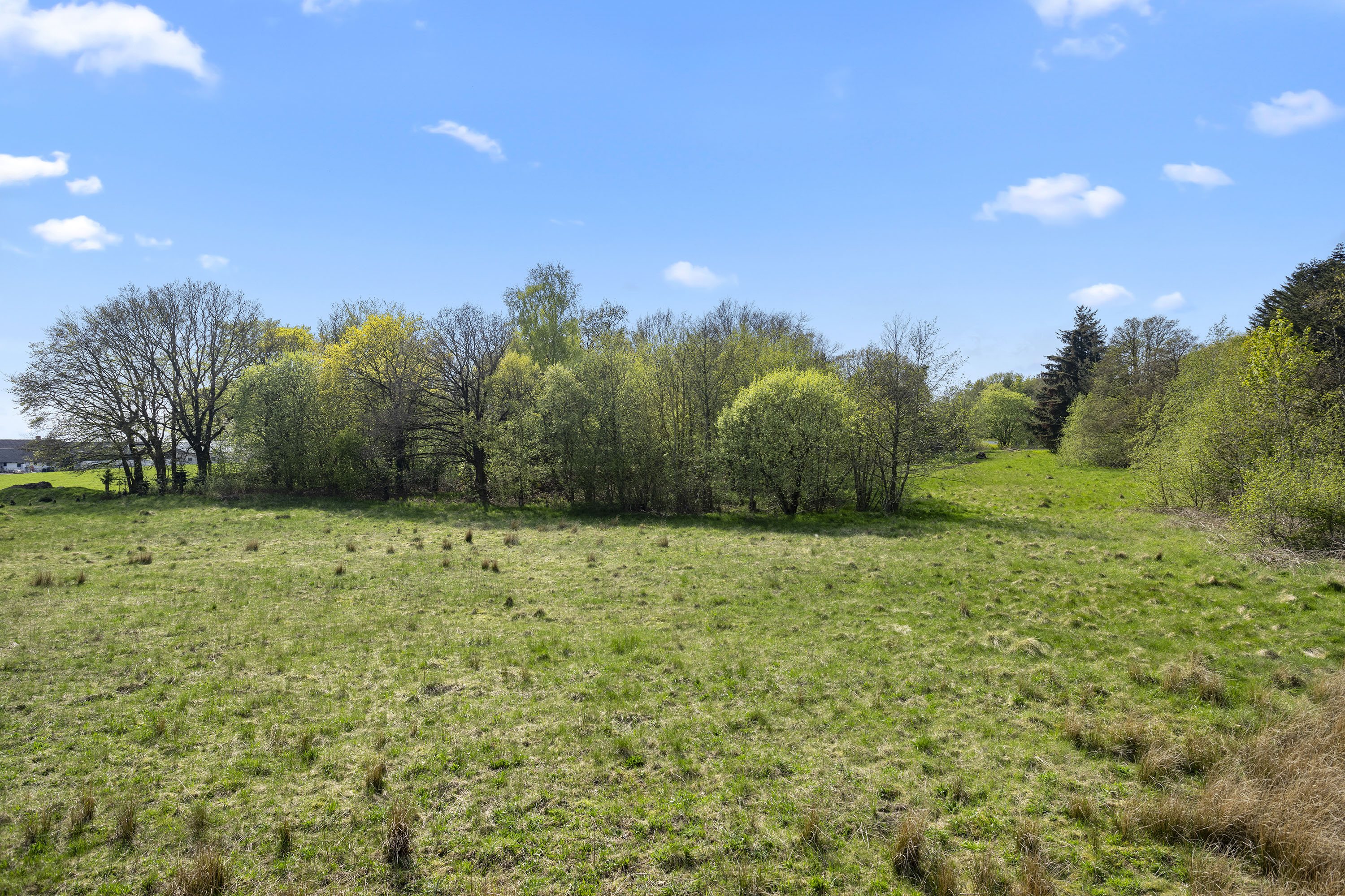 Fremhævet have billede i fuldskærmstilstand. Billede af Volstruphedevej 22, 9300 Sæby