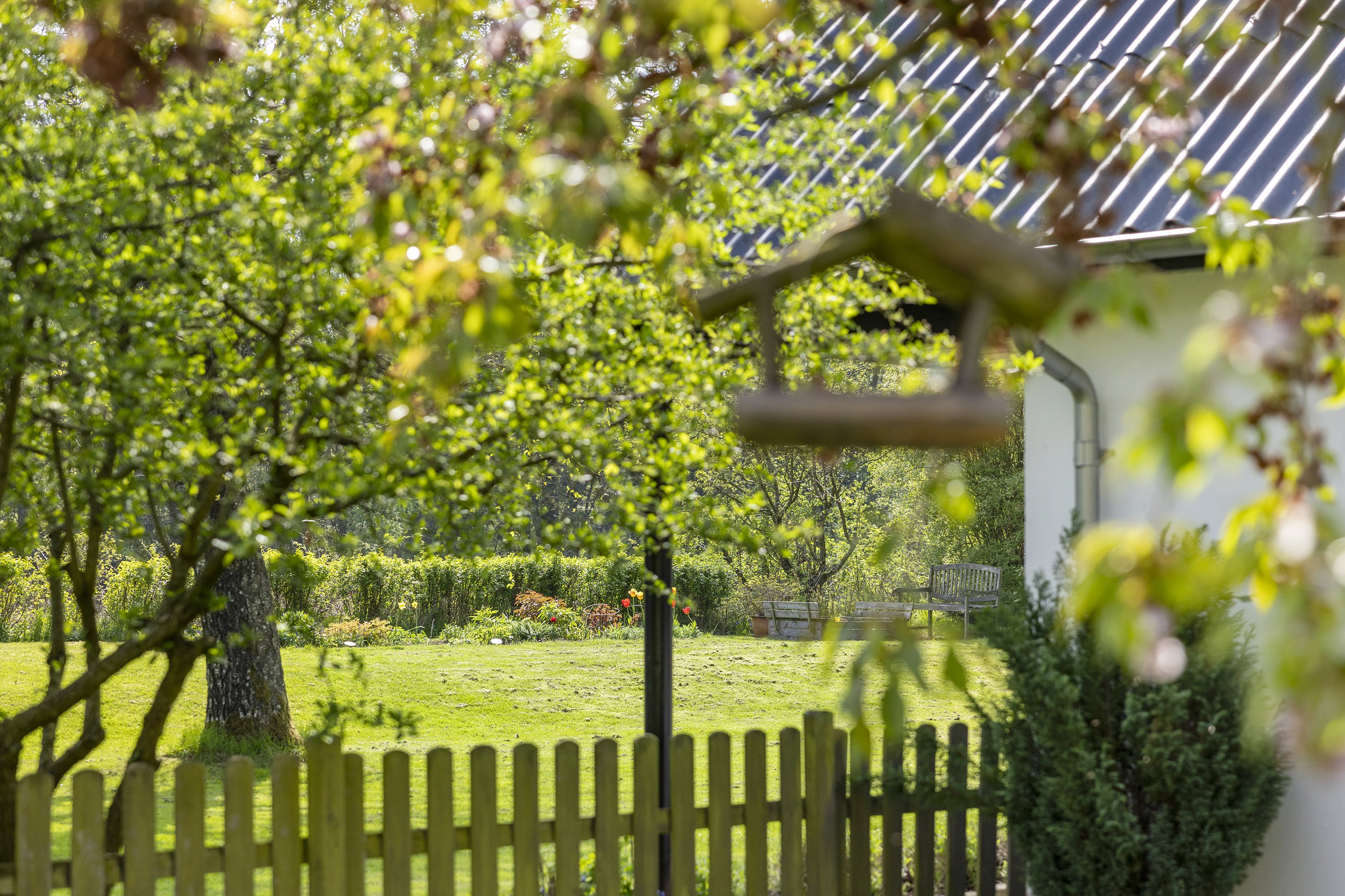 Fremhævet have billede i fuldskærmstilstand. Billede af Volstruphedevej 22, 9300 Sæby