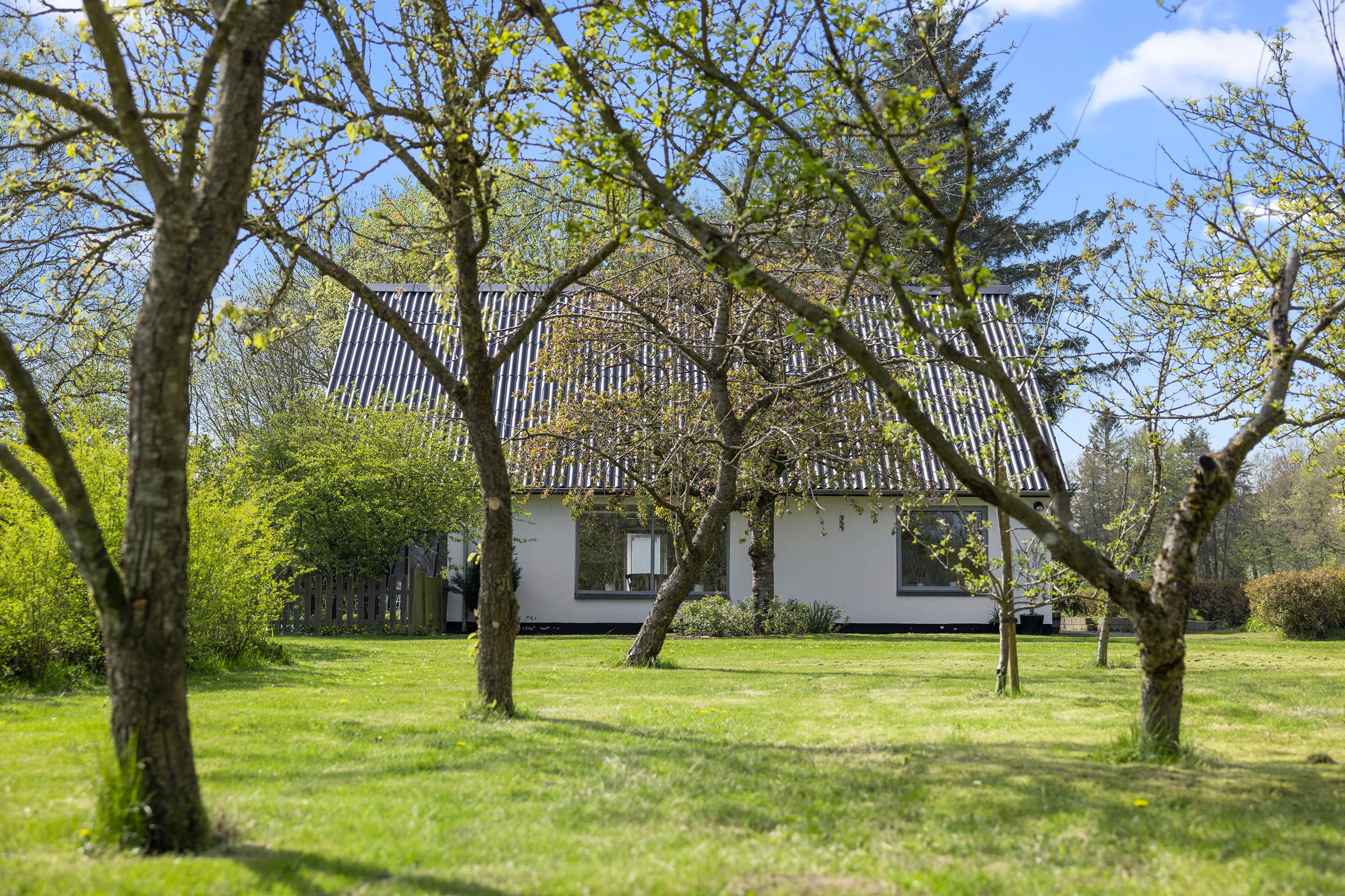 Miniaturebillede 2: have. Billede af Volstruphedevej 22, 9300 Sæby