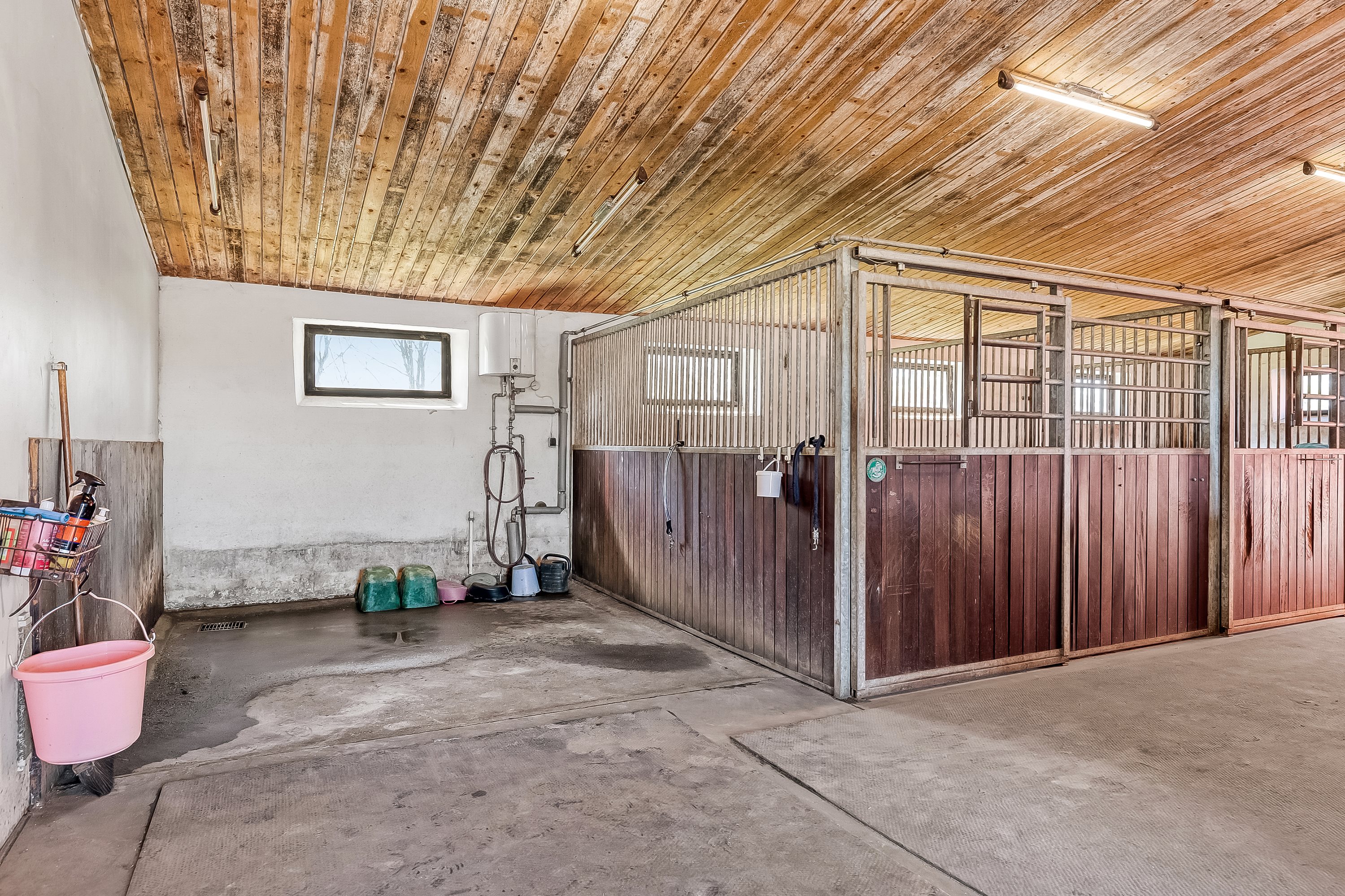 Fremhævet hesteboks billede i fuldskærmstilstand. Billede af Bøllingvej 21, 6064 Jordrup