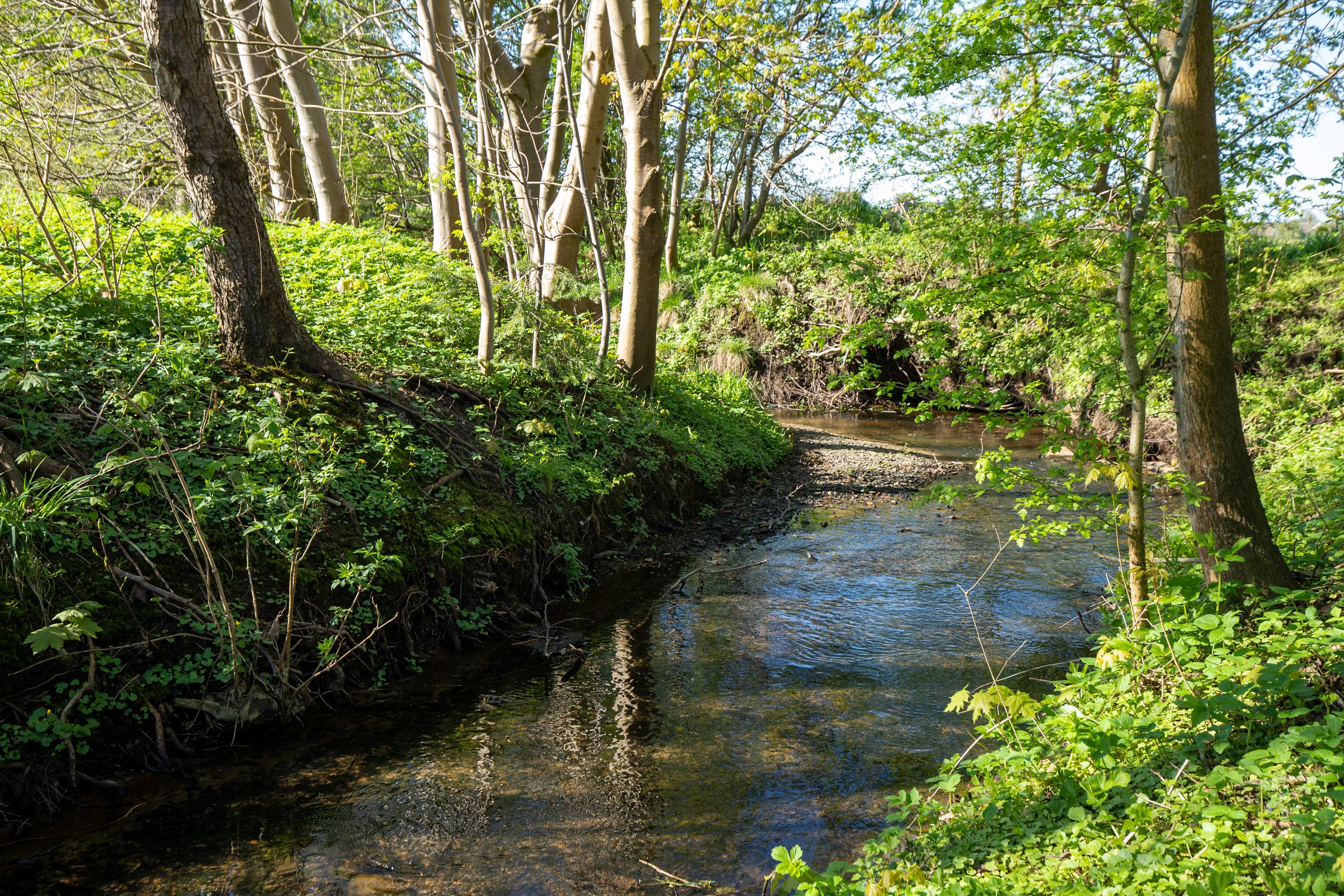 Fremhævet åløb billede i fuldskærmstilstand. Billede af Bøllingvej 21, 6064 Jordrup