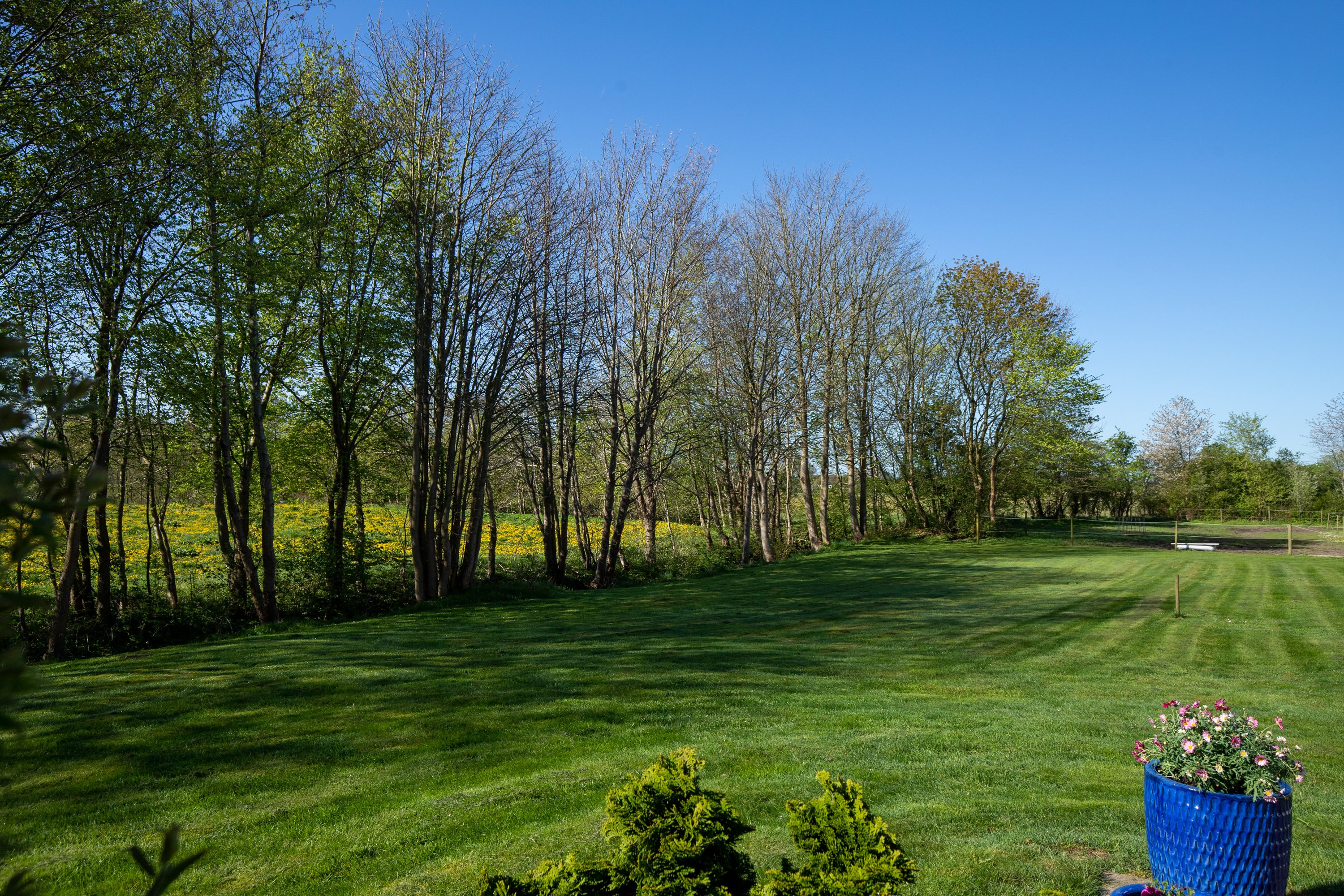 Fremhævet have billede i fuldskærmstilstand. Billede af Bøllingvej 21, 6064 Jordrup