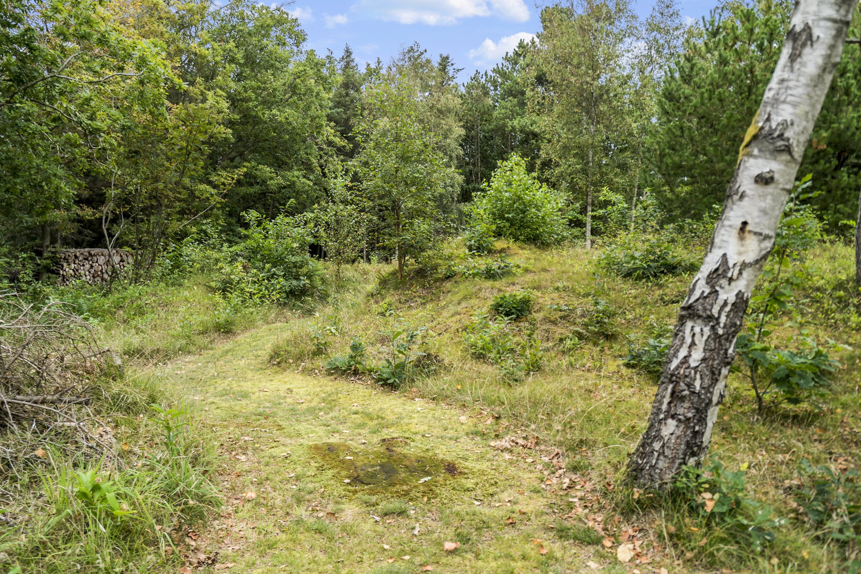 Fremhævet  billede i fuldskærmstilstand. Billede af Egernvej 6, Husby, 6990 Ulfborg