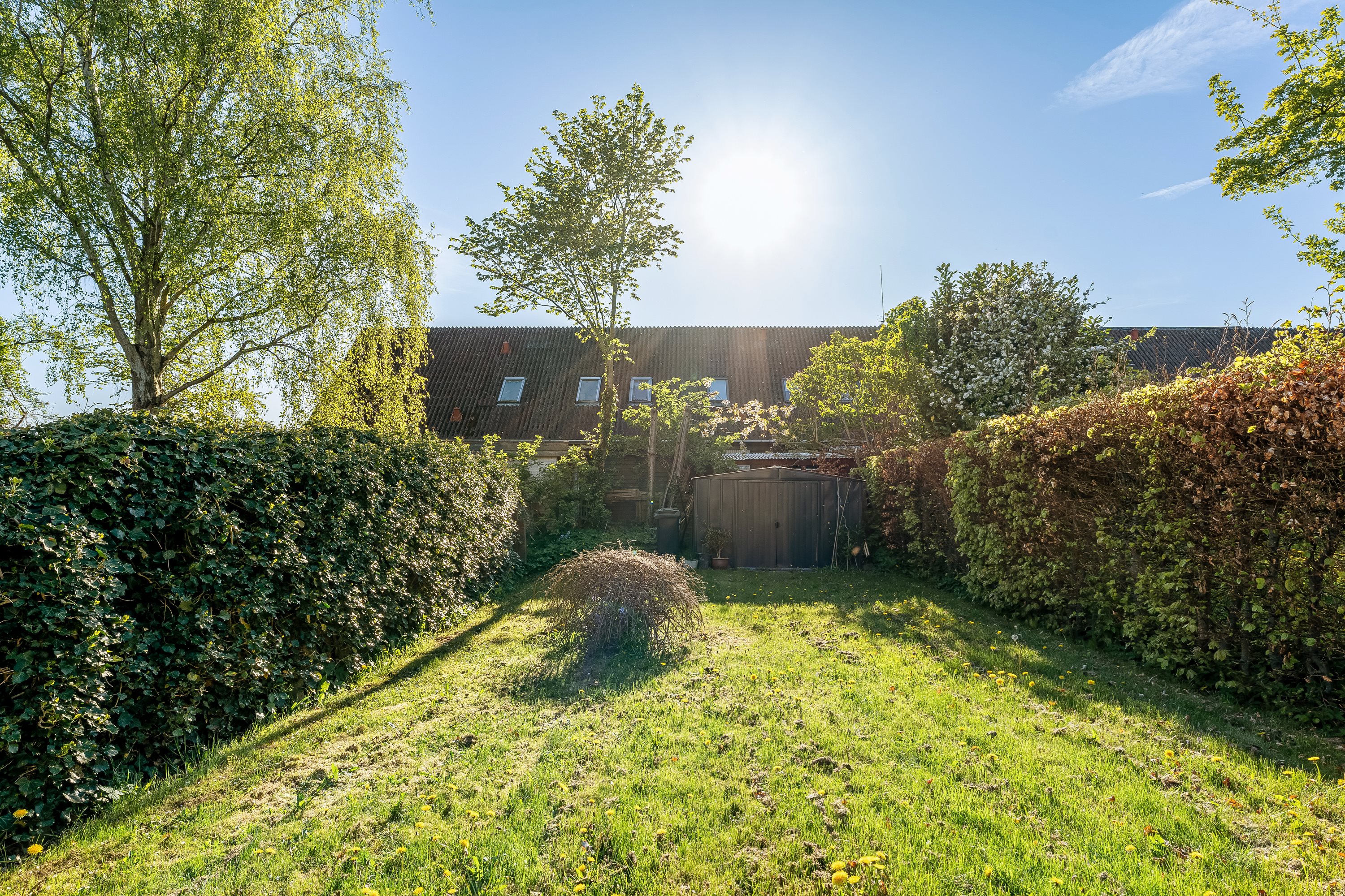 Fremhævet have billede i fuldskærmstilstand. Billede af Søndergade 16, 4970 Rødby