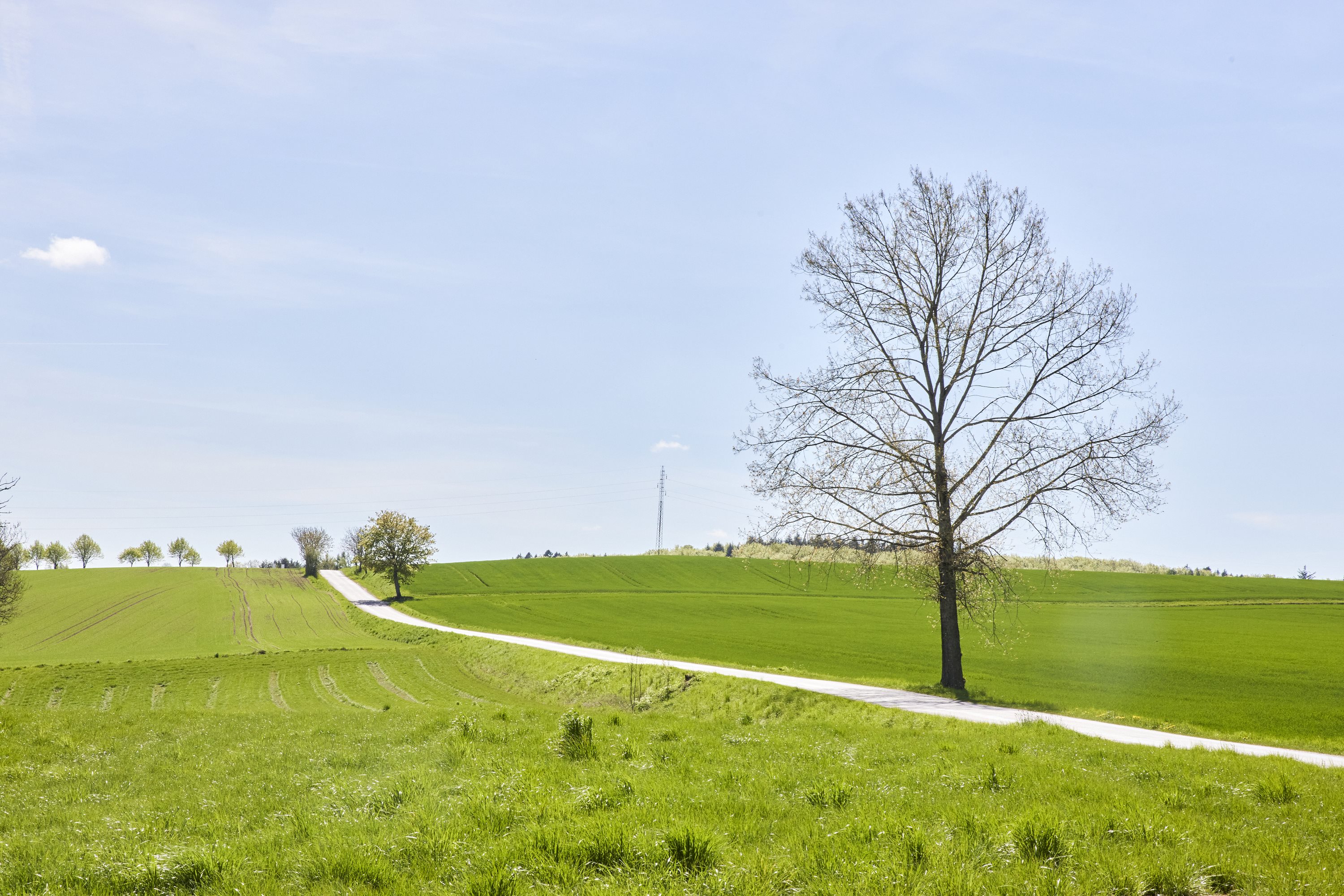 Fremhævet udsigt billede i fuldskærmstilstand. Billede af Tåningvej 25, 8660 Skanderborg