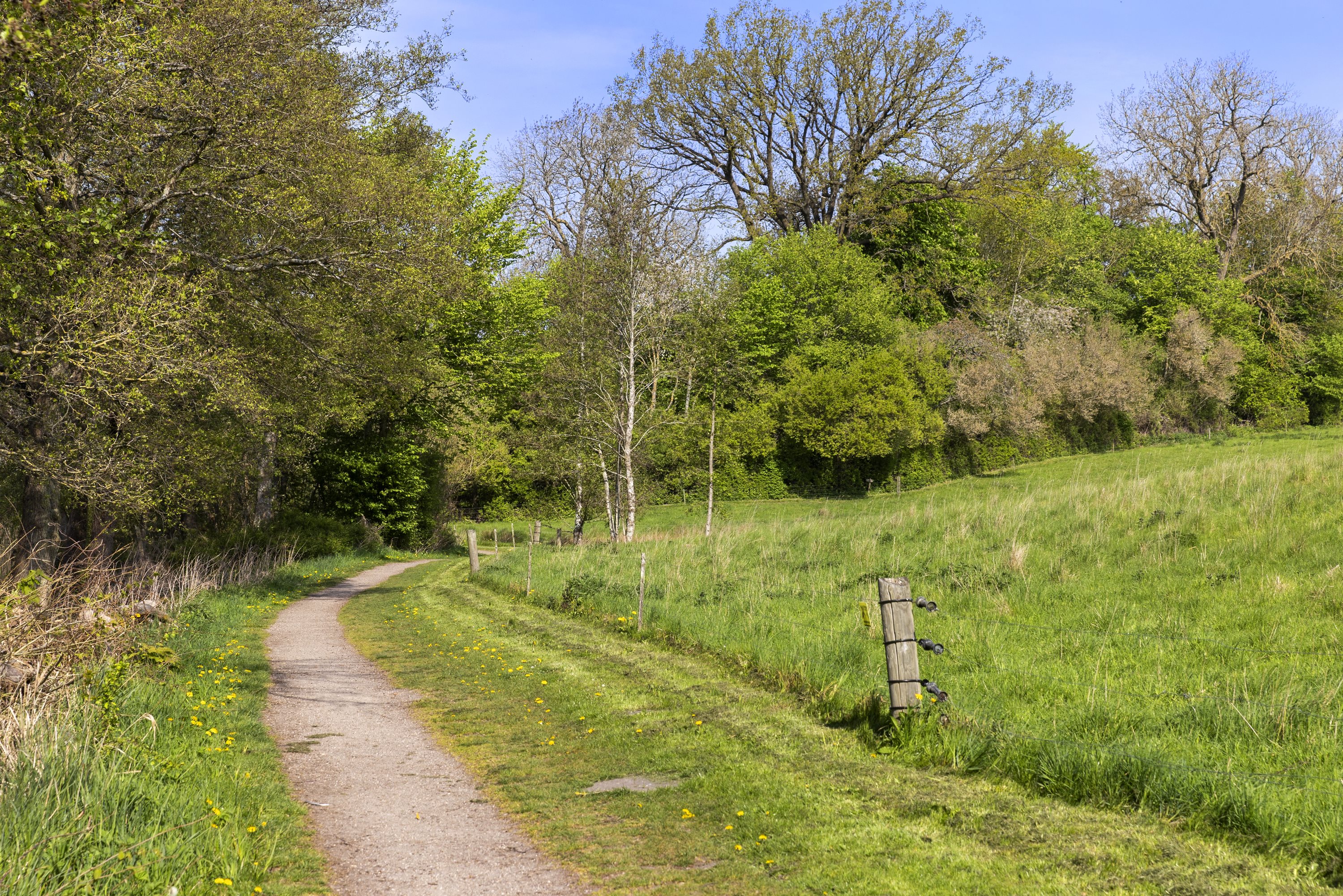 Fremhævet område billede i fuldskærmstilstand. Billede af Kirkevænget 11, 4180 Sorø