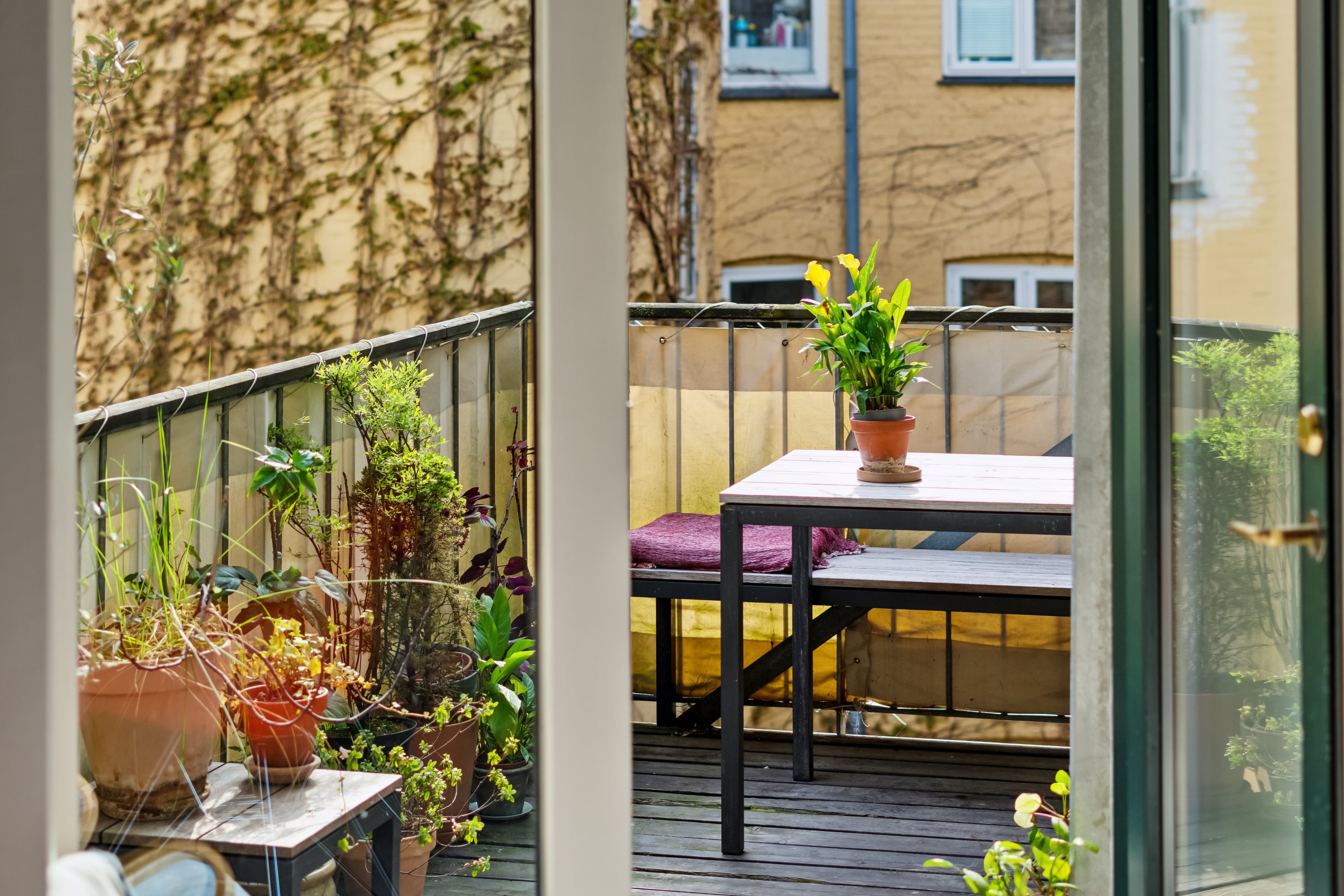 Miniaturebillede 2: terrasse. Billede af Wesselsgade 13, 4. tv., 2200 København N