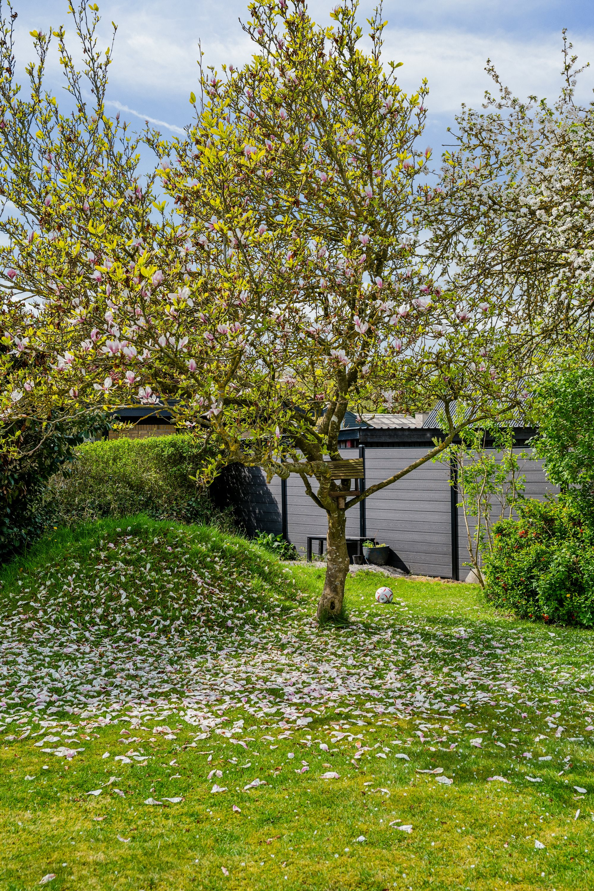 Fremhævet have billede i fuldskærmstilstand. Billede af Linde Alle 27, 8963 Auning