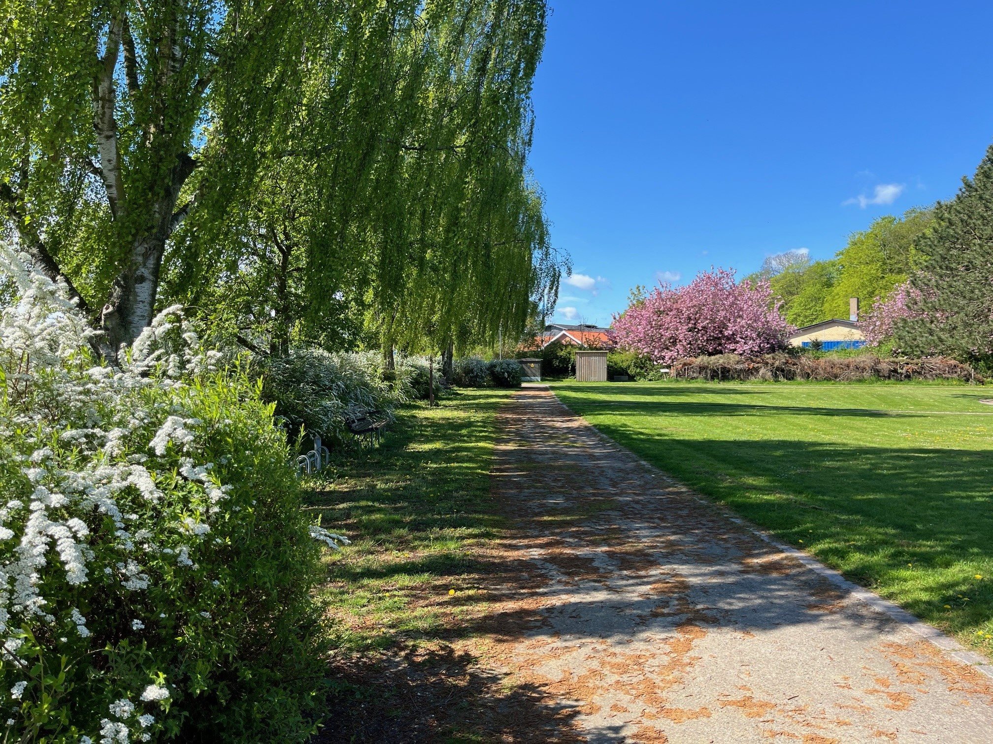 Fremhævet  billede i fuldskærmstilstand. Billede af Skolevænget 2, Hou, 8300 Odder