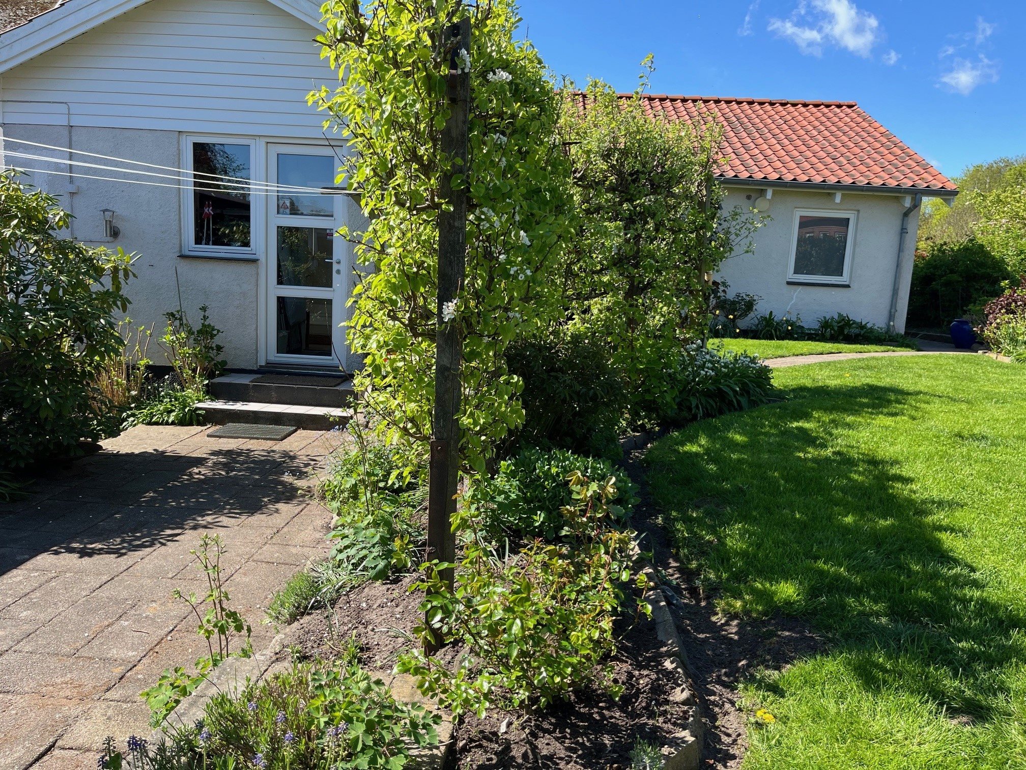 Fremhævet  billede i fuldskærmstilstand. Billede af Skolevænget 2, Hou, 8300 Odder