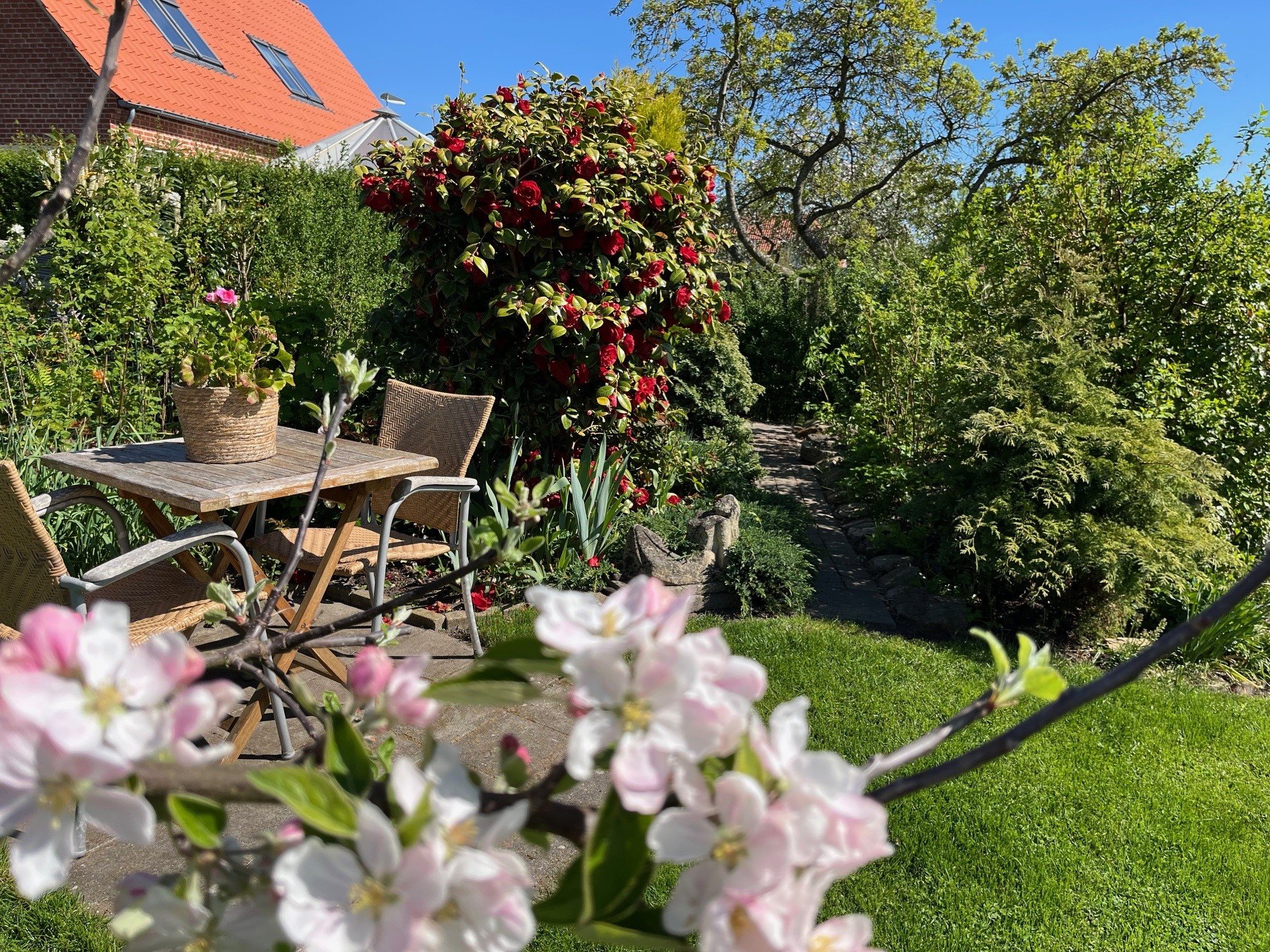 Fremhævet  billede i fuldskærmstilstand. Billede af Skolevænget 2, Hou, 8300 Odder