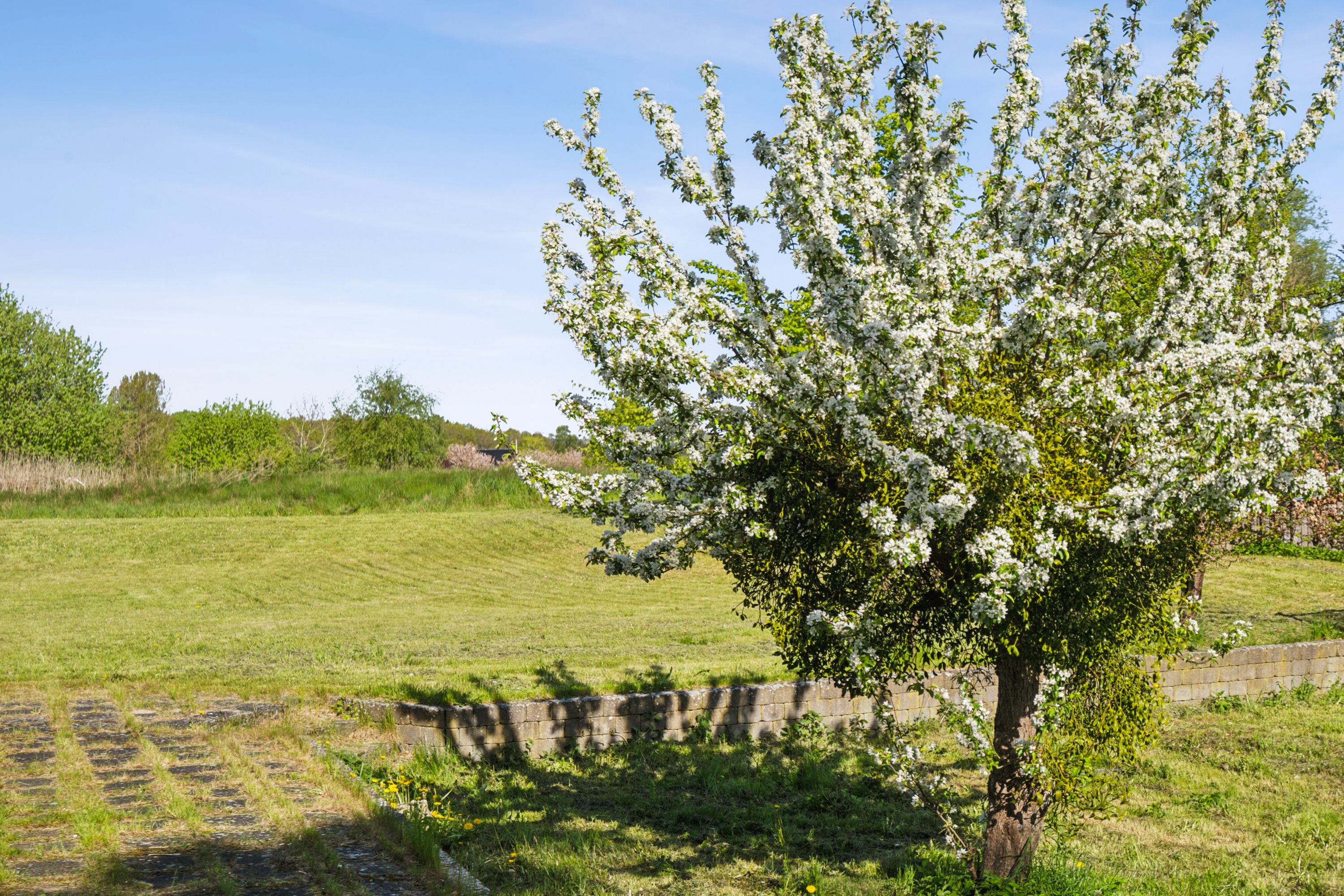 Fremhævet udendørs billede i fuldskærmstilstand. Billede af Svenstrupvejen 44, 4130 Viby Sjælland