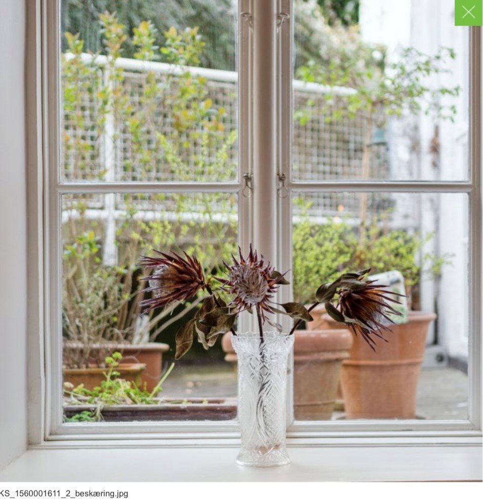 Fremhævet  billede i fuldskærmstilstand. Billede af Skodsborg Strandvej 227, st.. 9., 2942 Skodsborg