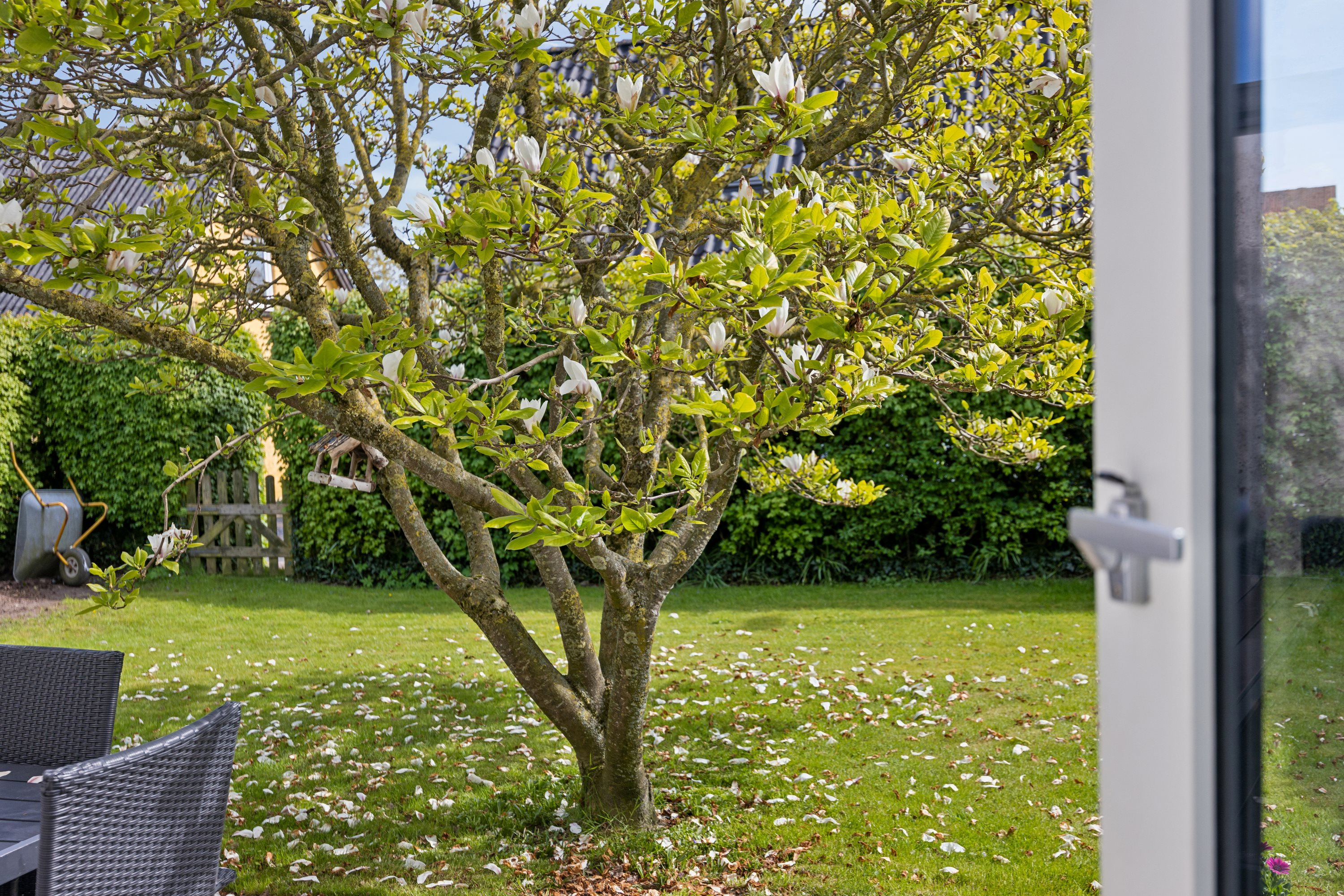 Fremhævet have billede i fuldskærmstilstand. Billede af Rolighedsvej 5, 9460 Brovst