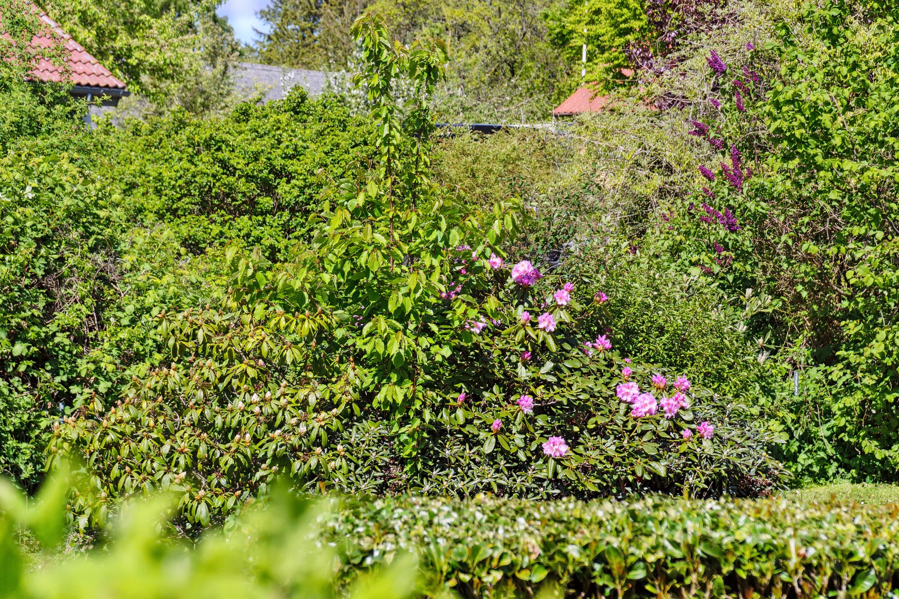 Fremhævet udsigt billede i fuldskærmstilstand. Billede af Bakkebøllevej 102, 4760 Vordingborg