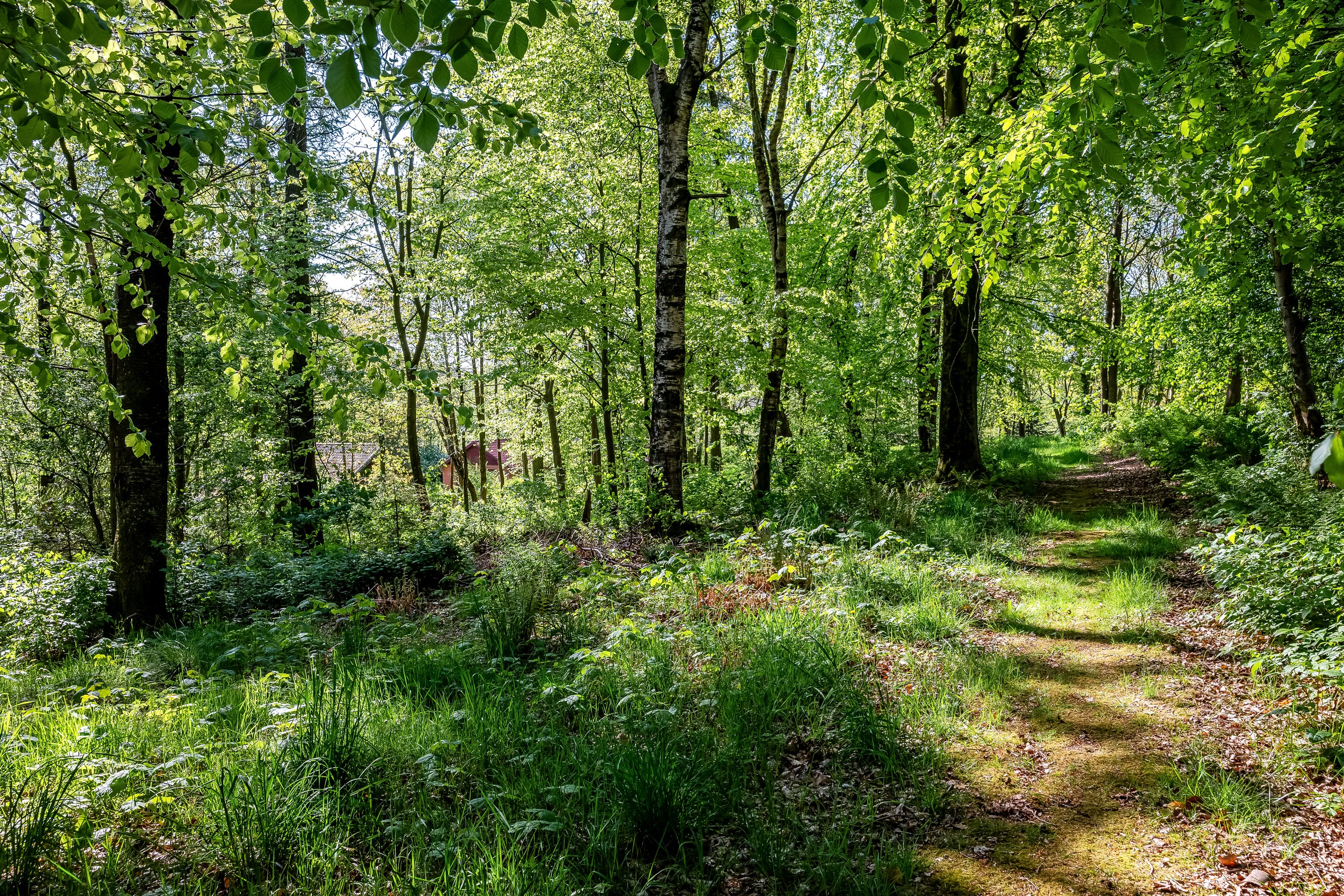 Fremhævet ejendommen billede i fuldskærmstilstand. Billede af Trabjergvej 1, 7500 Holstebro