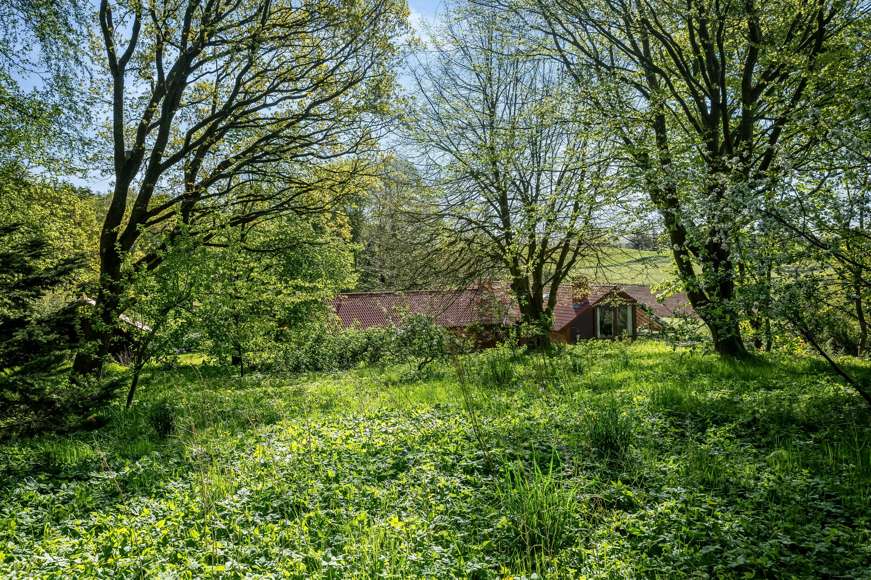 Fremhævet ejendommen billede i fuldskærmstilstand. Billede af Trabjergvej 1, 7500 Holstebro