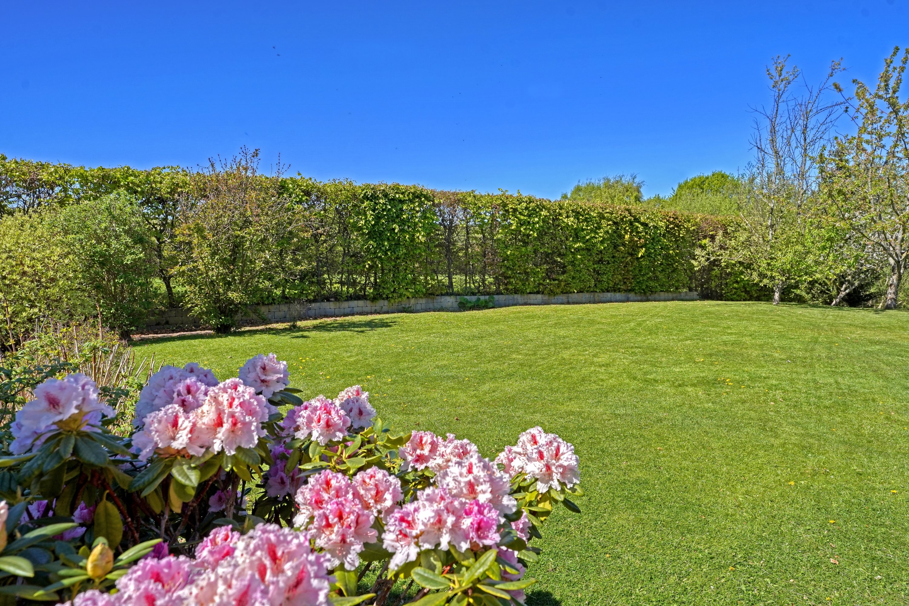 Miniaturebillede 1: have. Billede af Breddam 21, 3230 Græsted