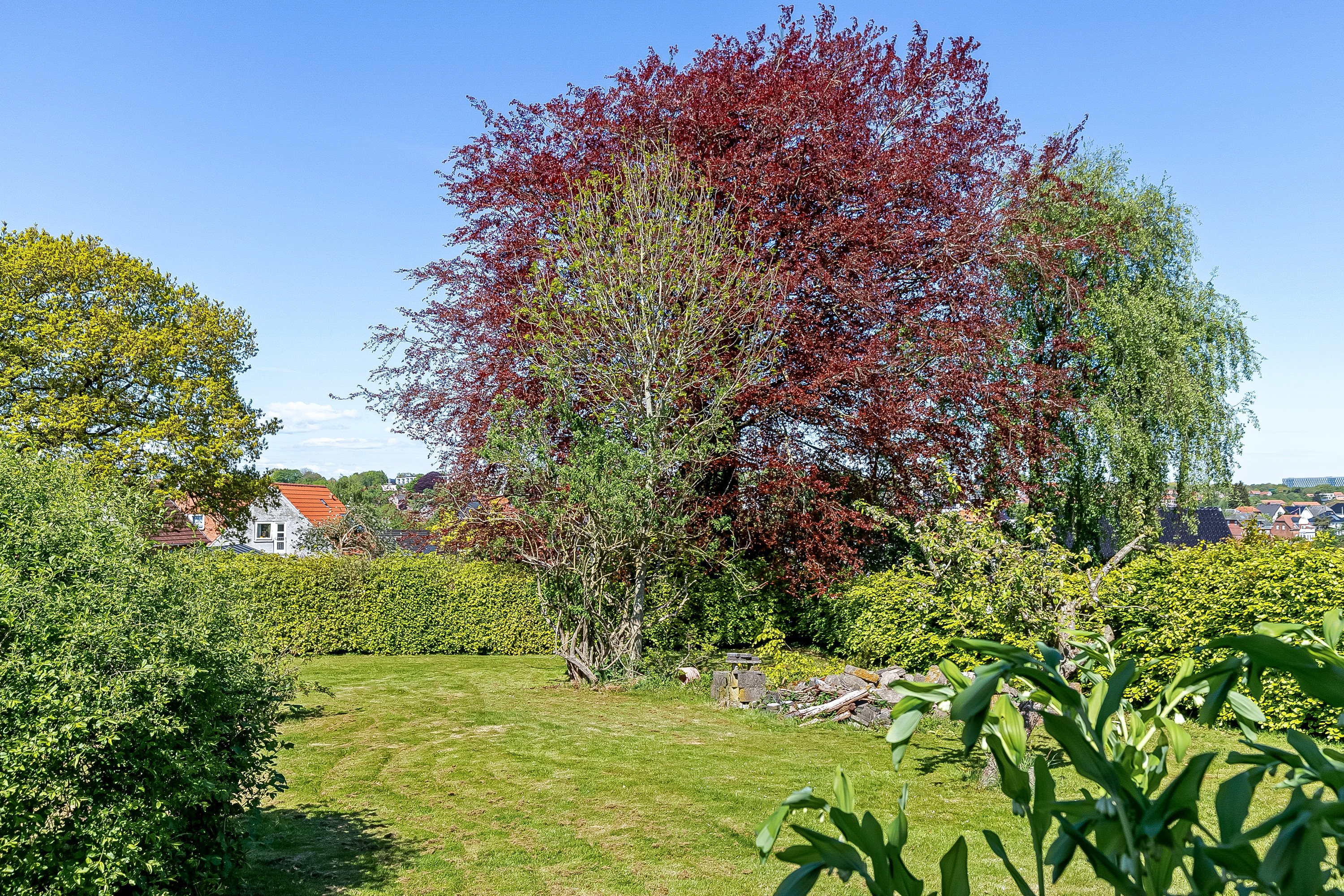 Fremhævet have billede i fuldskærmstilstand. Billede af Poul Møllers Vej 22, 6000 Kolding
