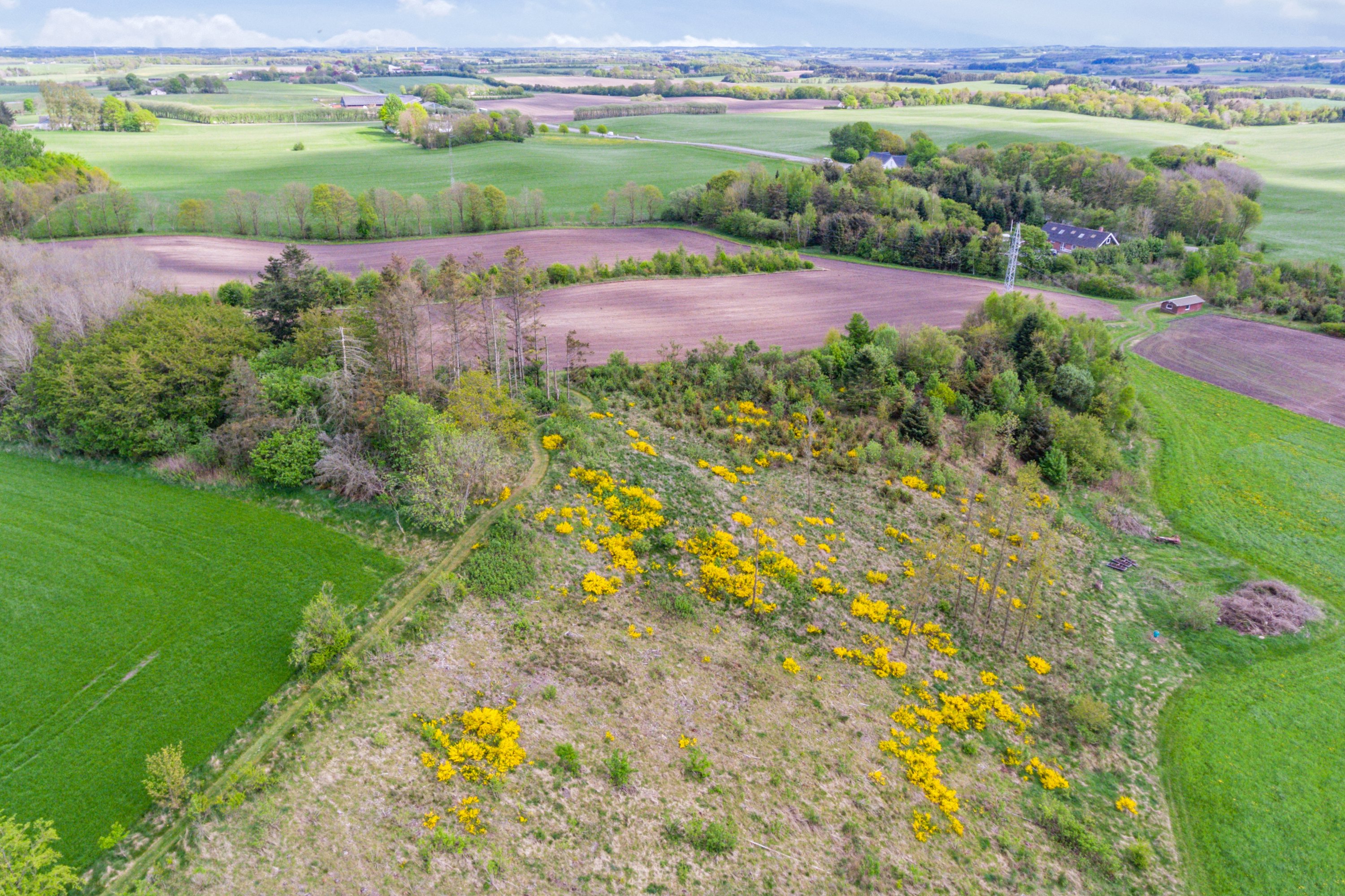 Fremhævet luftfoto billede i fuldskærmstilstand. Billede af Boldrupvej 109, Simested, 9620 Aalestrup
