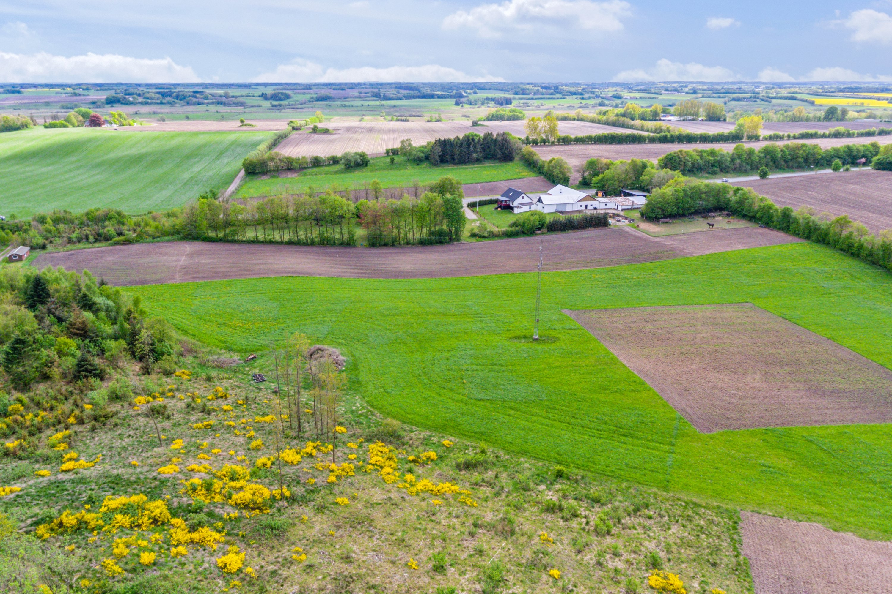 Fremhævet luftfoto billede i fuldskærmstilstand. Billede af Boldrupvej 109, Simested, 9620 Aalestrup