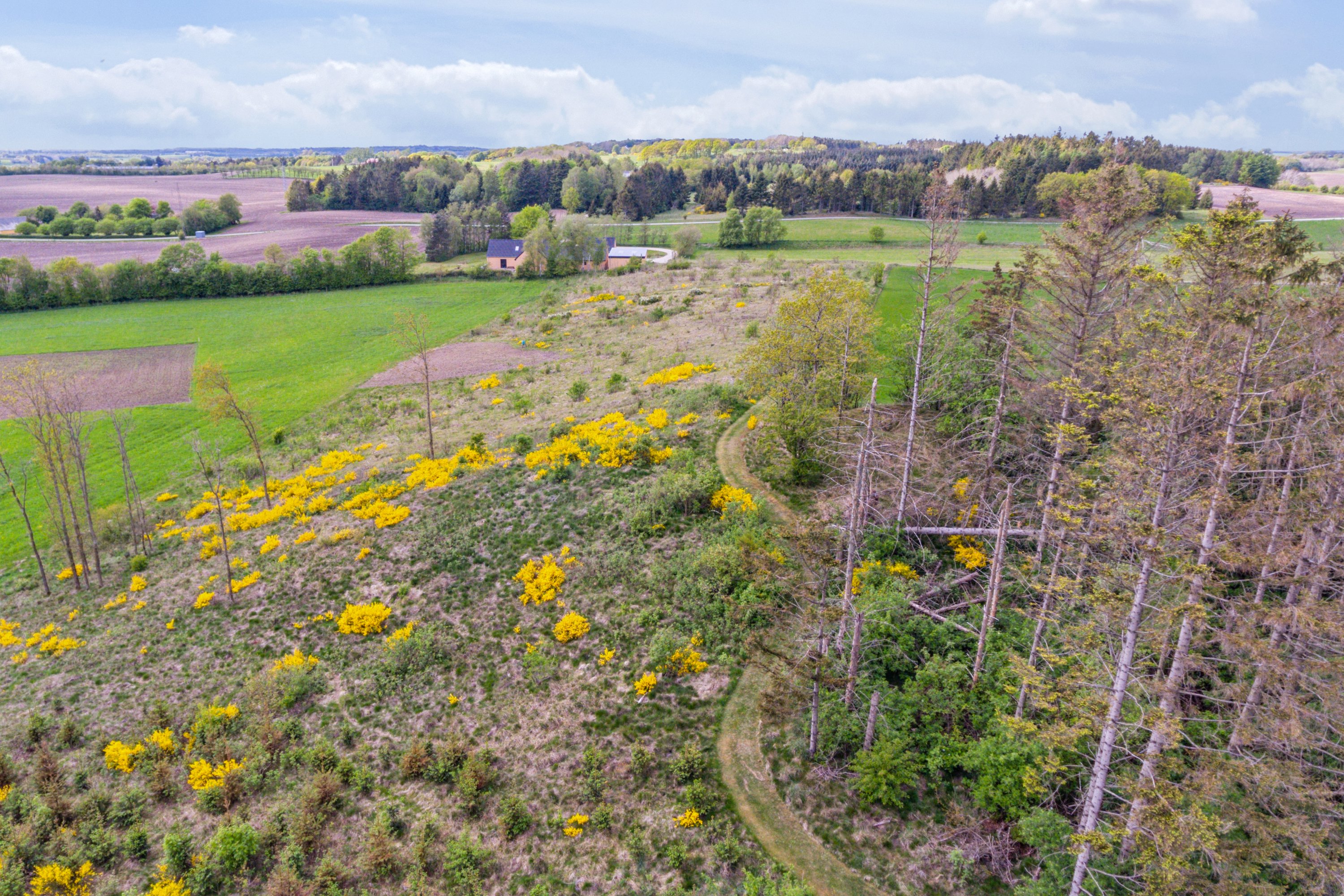 Fremhævet luftfoto billede i fuldskærmstilstand. Billede af Boldrupvej 109, Simested, 9620 Aalestrup
