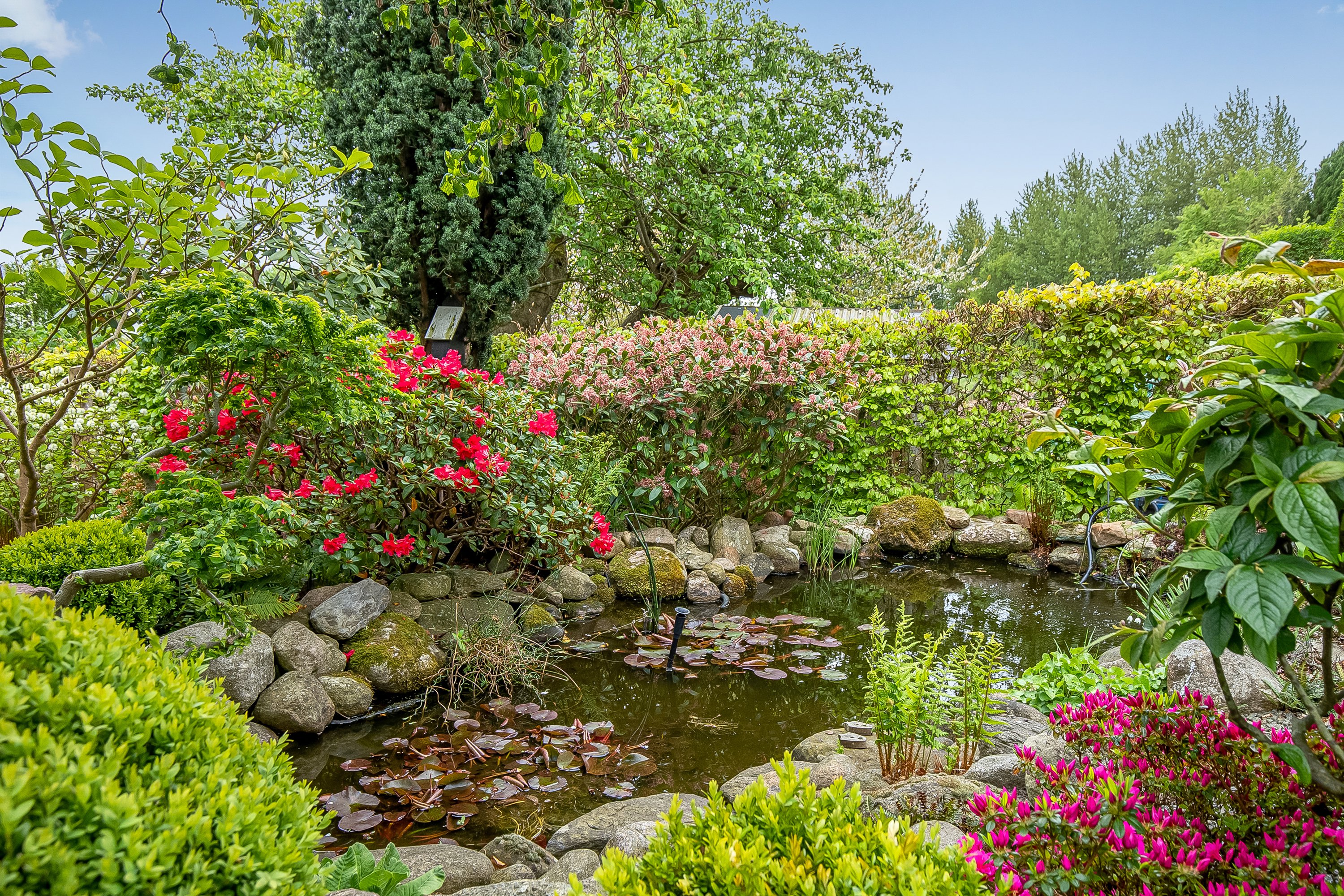 Fremhævet have billede i fuldskærmstilstand. Billede af Smørhullet 18, Smørhullet, 7100 Vejle