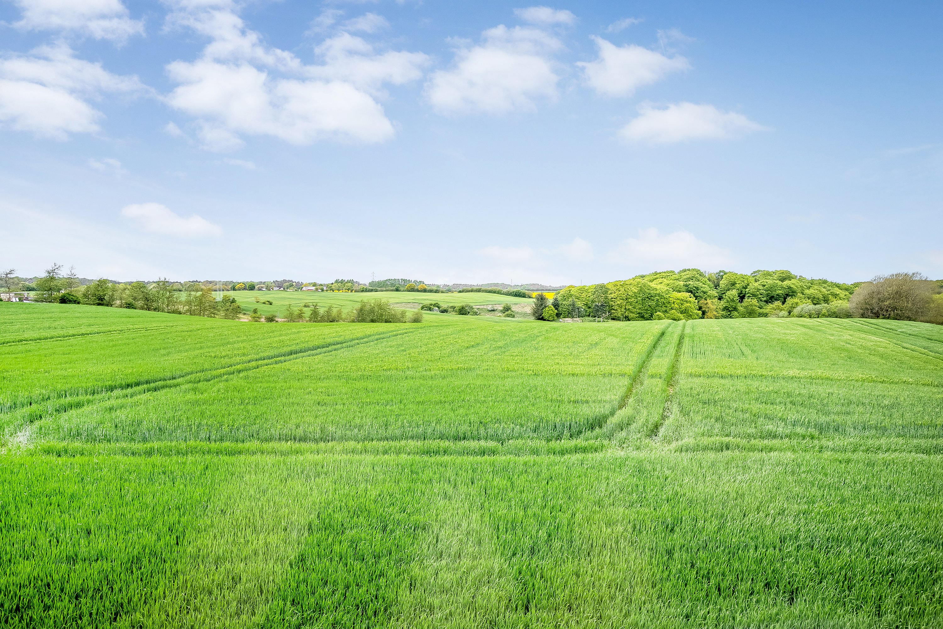 Fremhævet udsigt billede i fuldskærmstilstand. Billede af Smørhullet 18, Smørhullet, 7100 Vejle