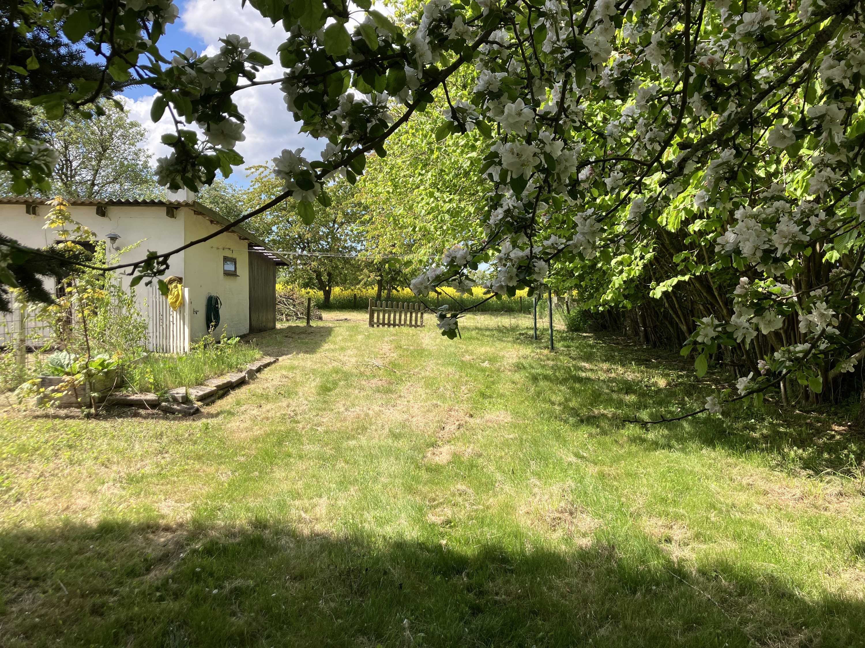 Fremhævet  billede i fuldskærmstilstand. Billede af Banevej 19, Hyllested, 4261 Dalmose