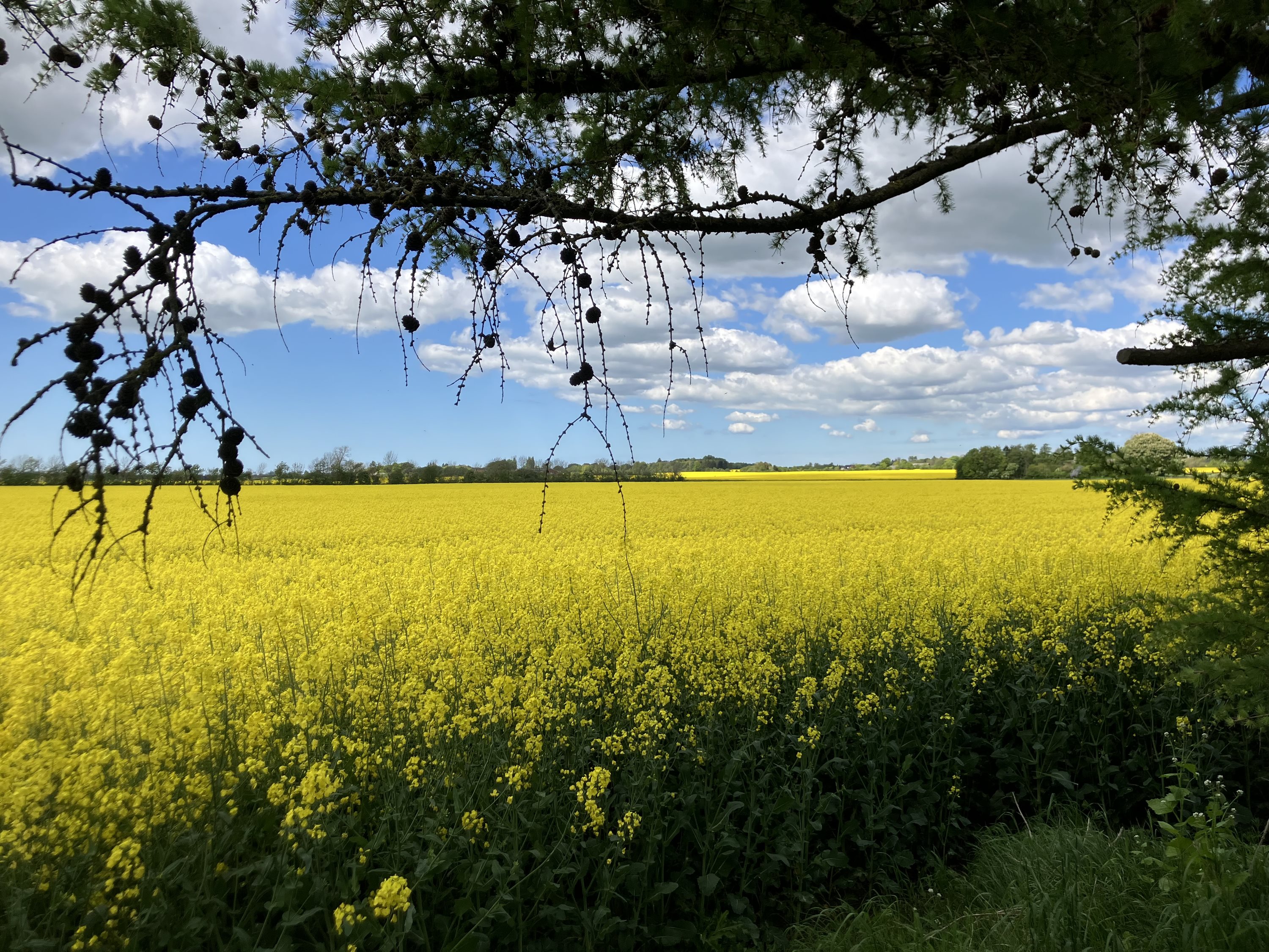 Fremhævet  billede i fuldskærmstilstand. Billede af Banevej 19, Hyllested, 4261 Dalmose