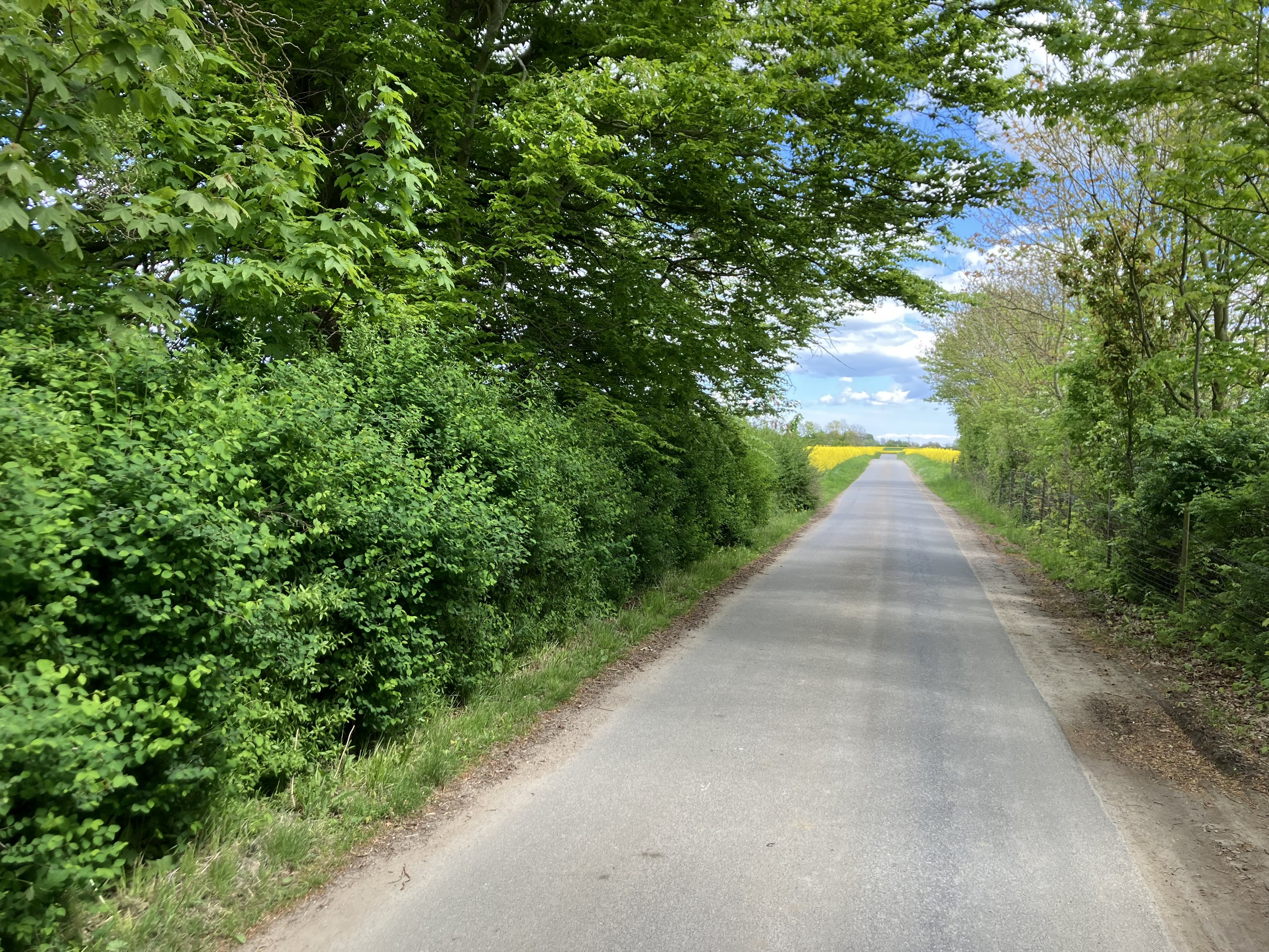 Fremhævet  billede i fuldskærmstilstand. Billede af Banevej 19, Hyllested, 4261 Dalmose