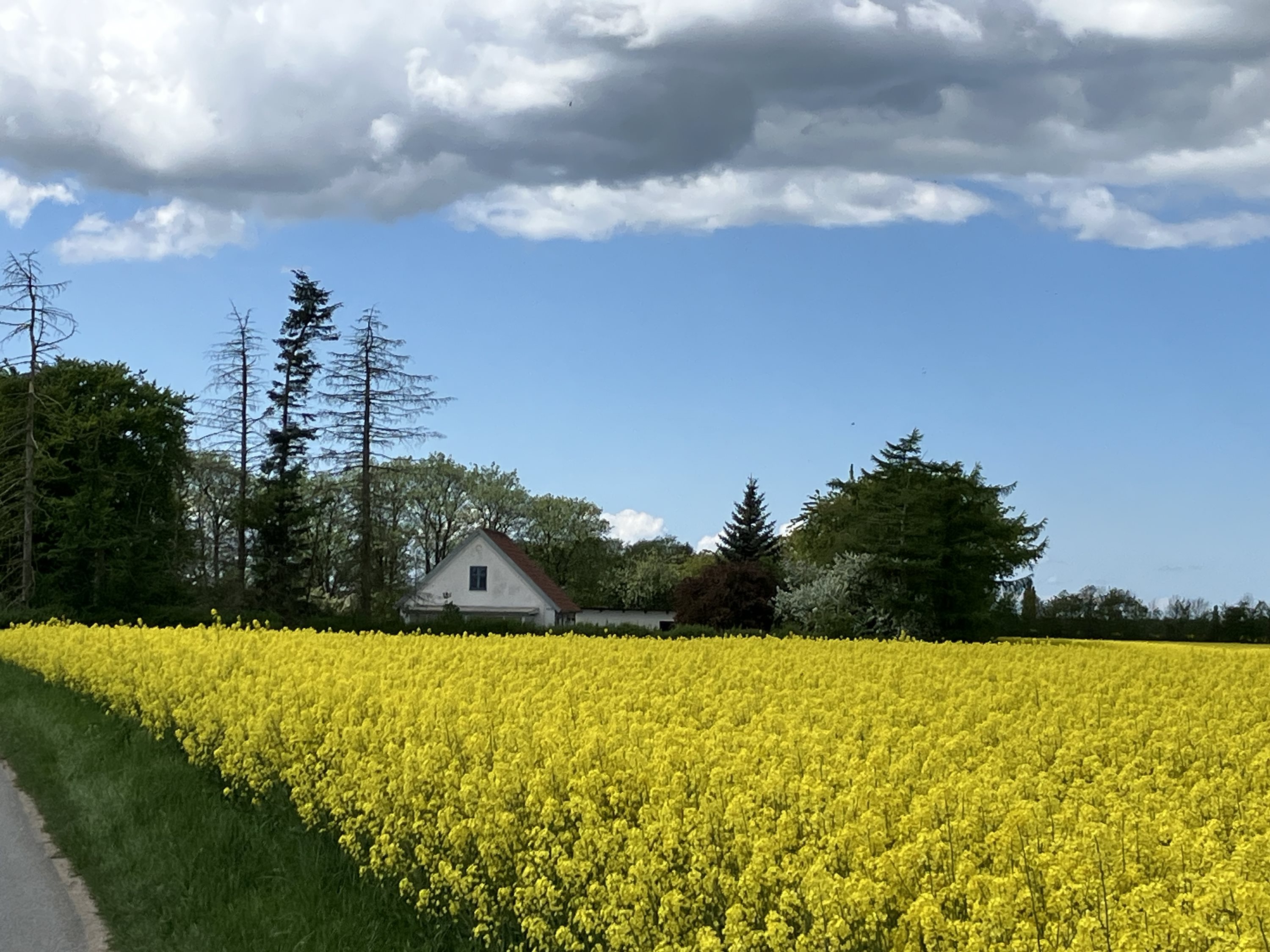 Miniaturebillede 2: . Billede af Banevej 19, Hyllested, 4261 Dalmose