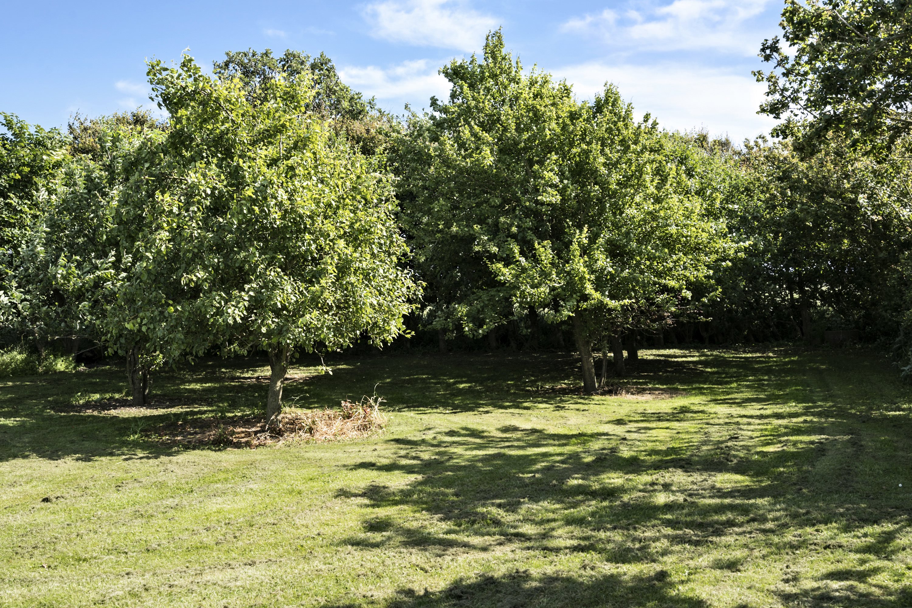 Fremhævet  billede i fuldskærmstilstand. Billede af Hovedvejen 118, Jestrup, 7790 Thyholm