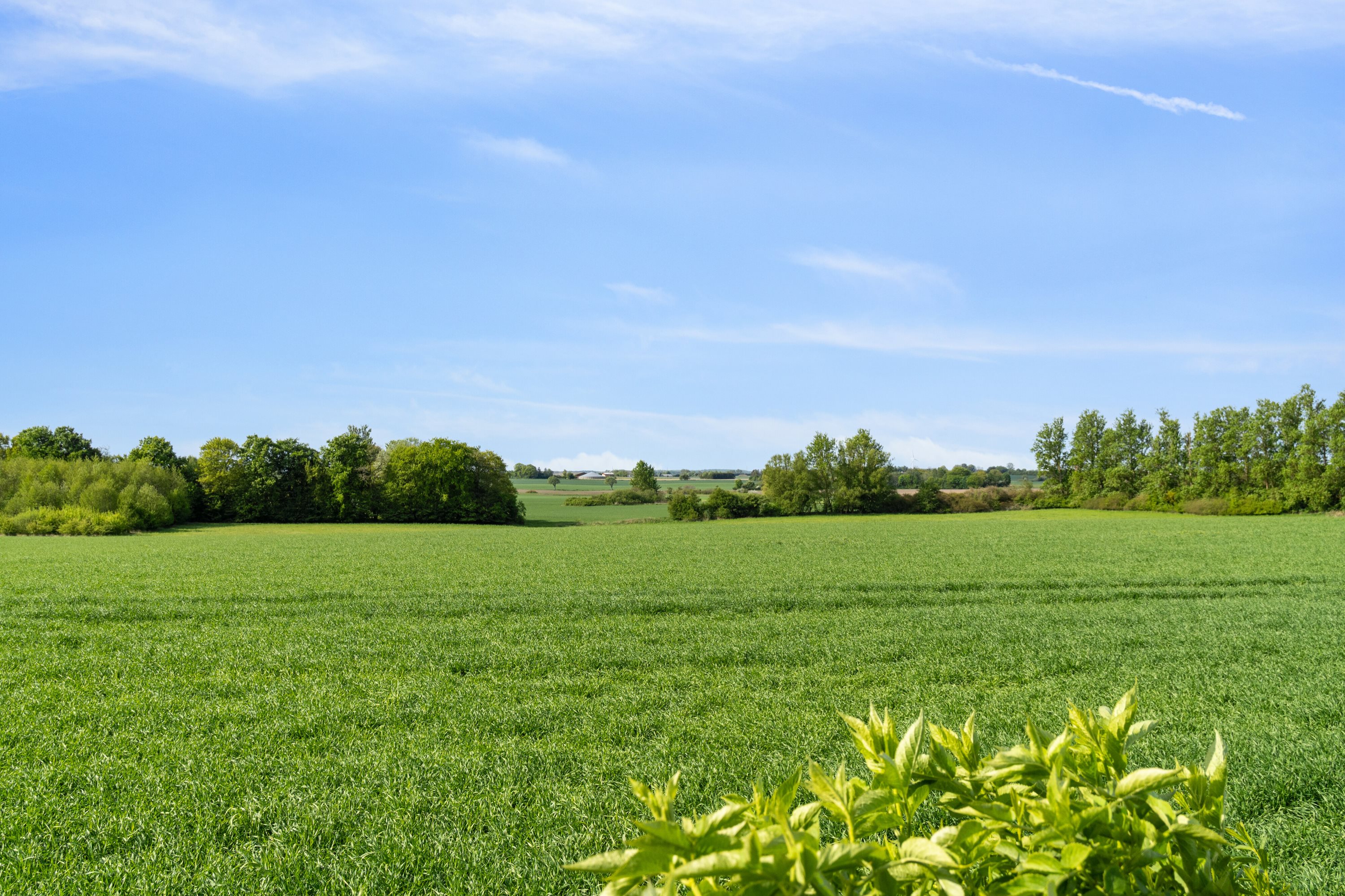 Fremhævet udendørs billede i fuldskærmstilstand. Billede af Næstved Landevej 10, 4250 Fuglebjerg