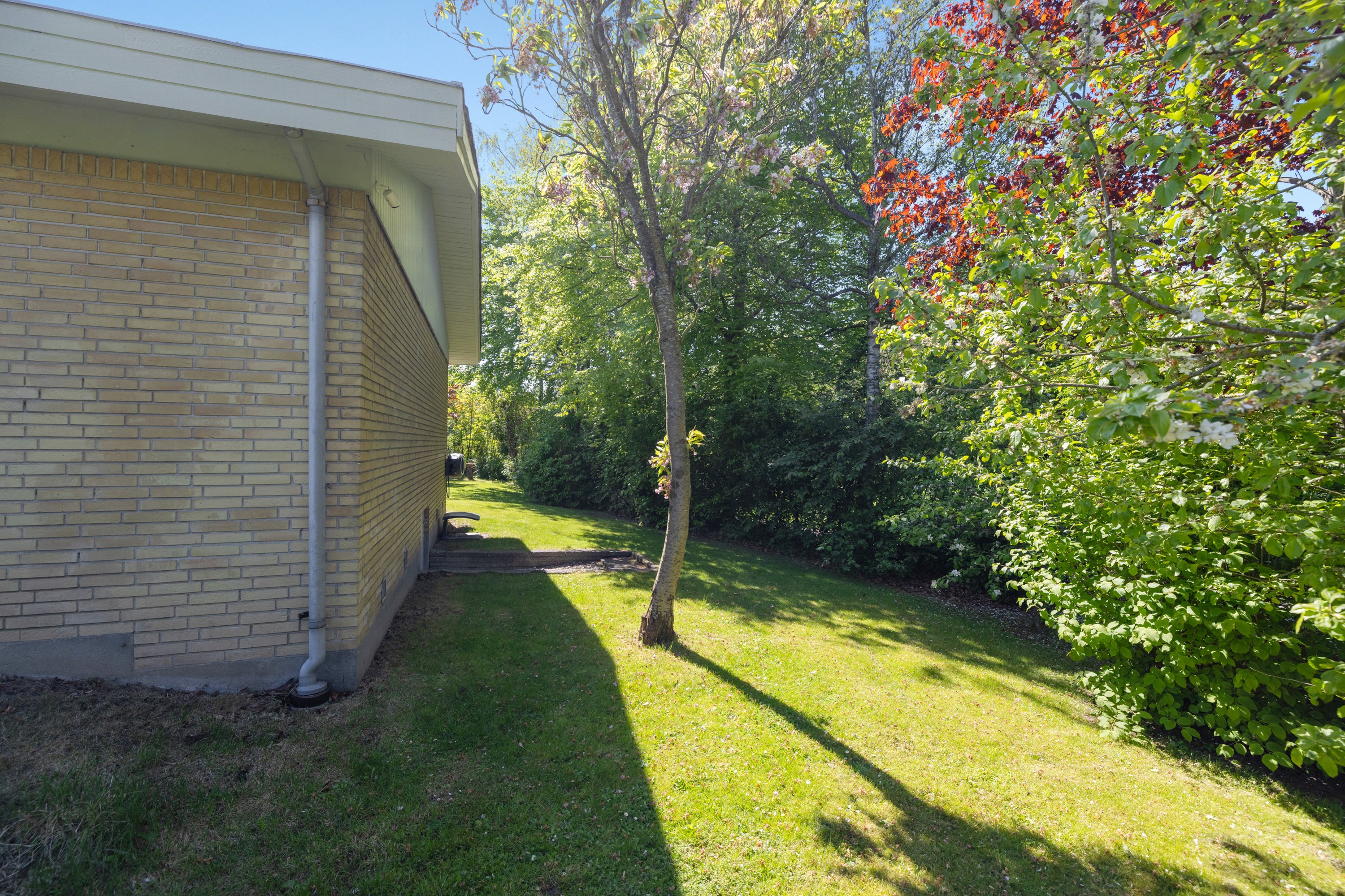 Fremhævet  billede i fuldskærmstilstand. Billede af Runehøjen 9, Hasle, 8210 Aarhus V