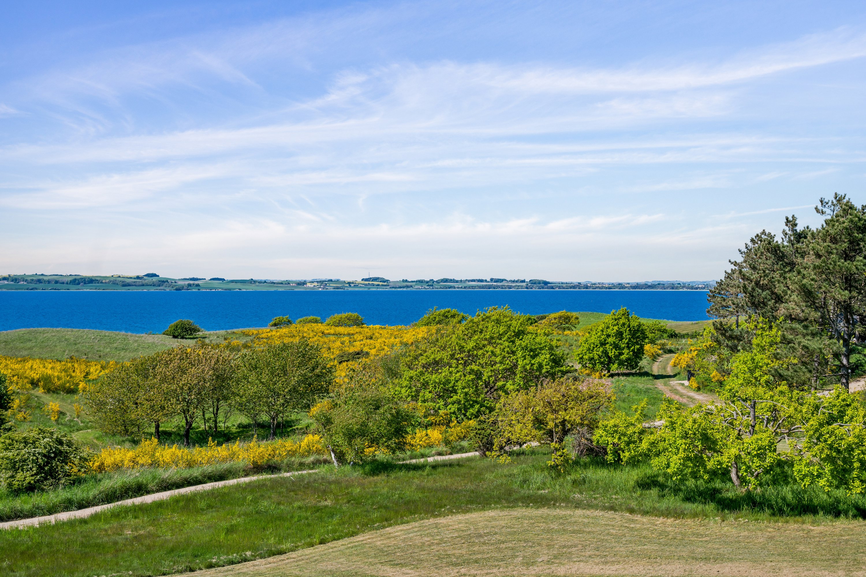 Fremhævet omgivelser billede i fuldskærmstilstand. Billede af Skoven 1B, Fejrup Strand, 8420 Knebel