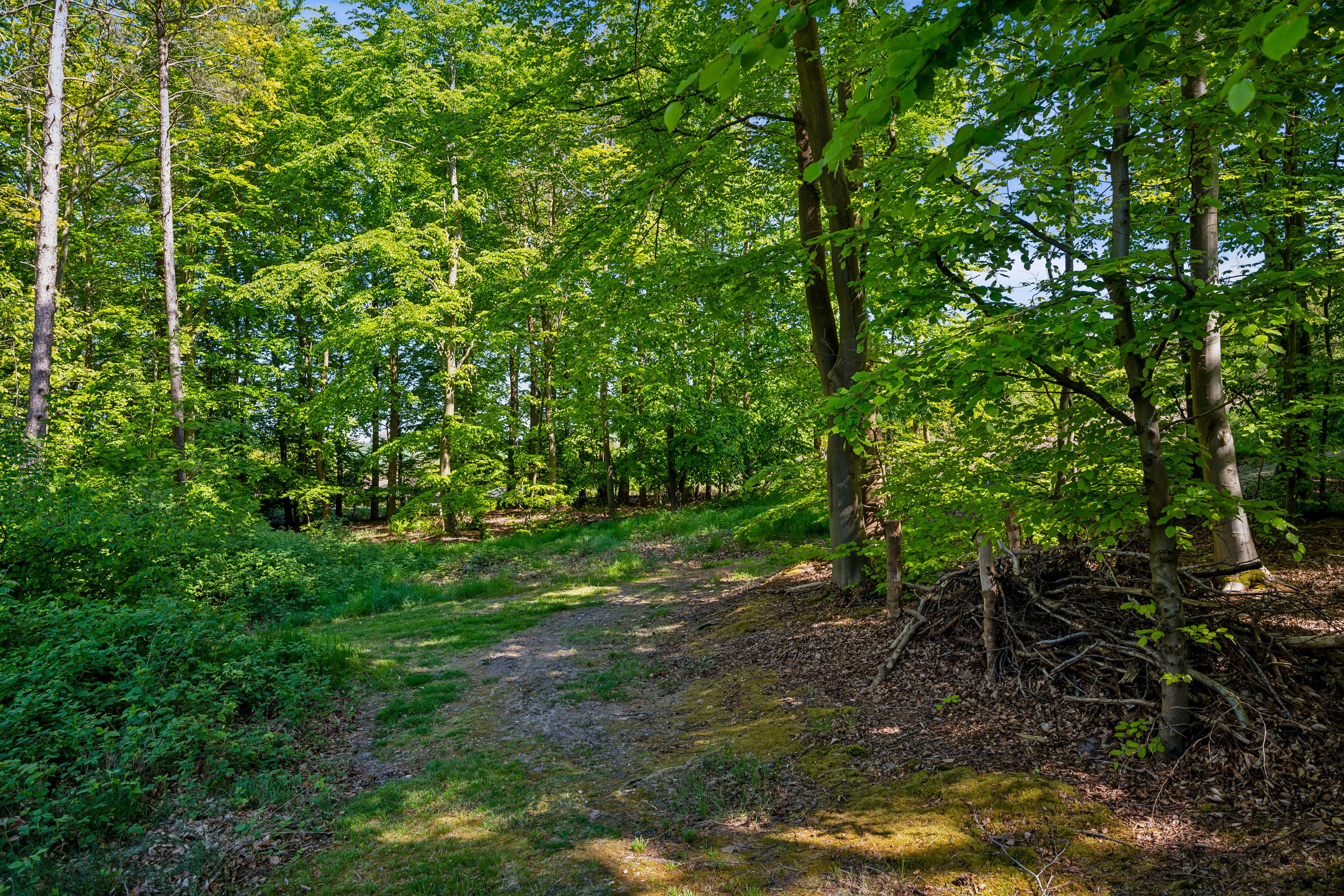 Fremhævet have billede i fuldskærmstilstand. Billede af Skoven 1B, Fejrup Strand, 8420 Knebel