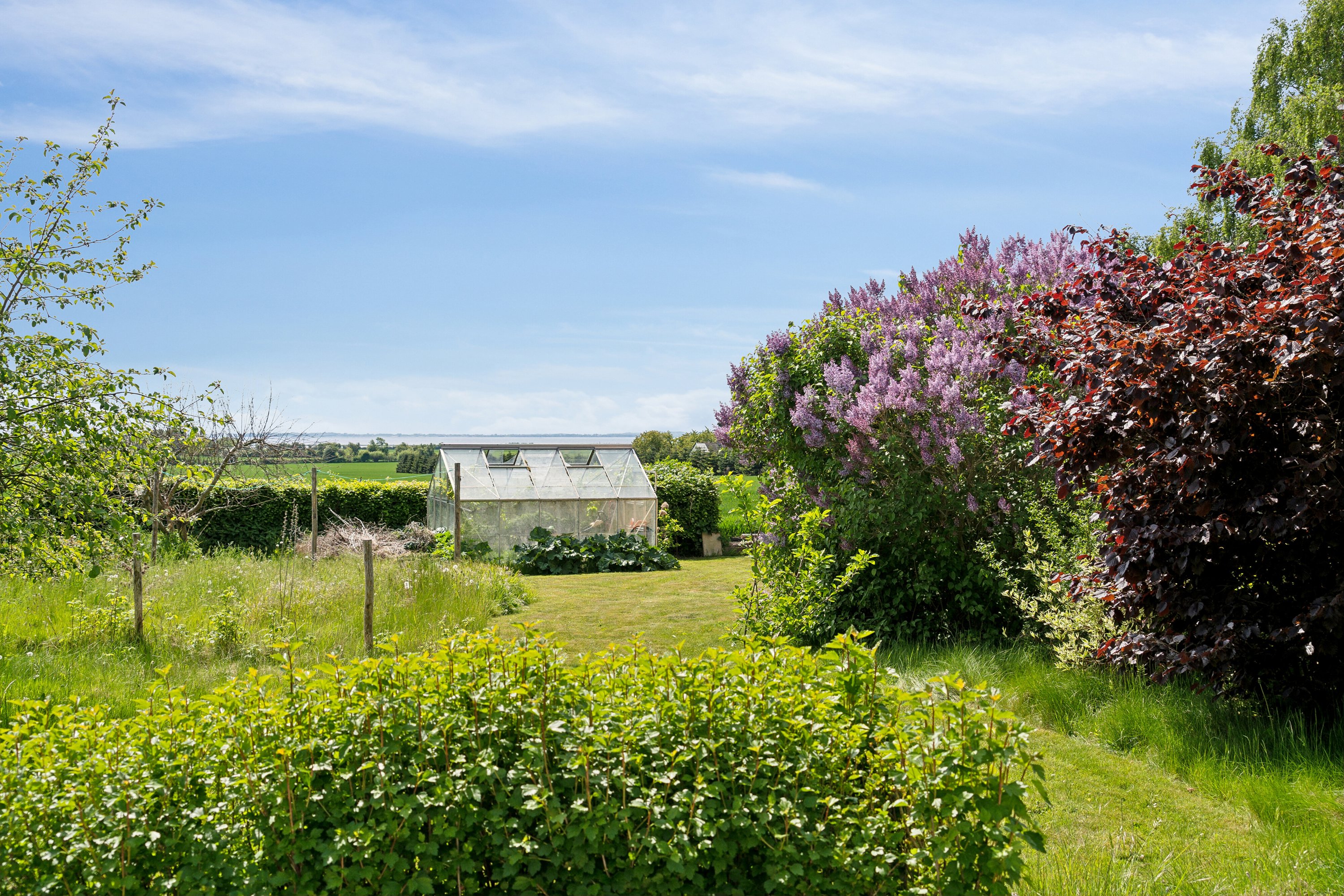 Fremhævet set fra haven billede i fuldskærmstilstand. Billede af Vårøvej 13, Tåsinge, 5700 Svendborg